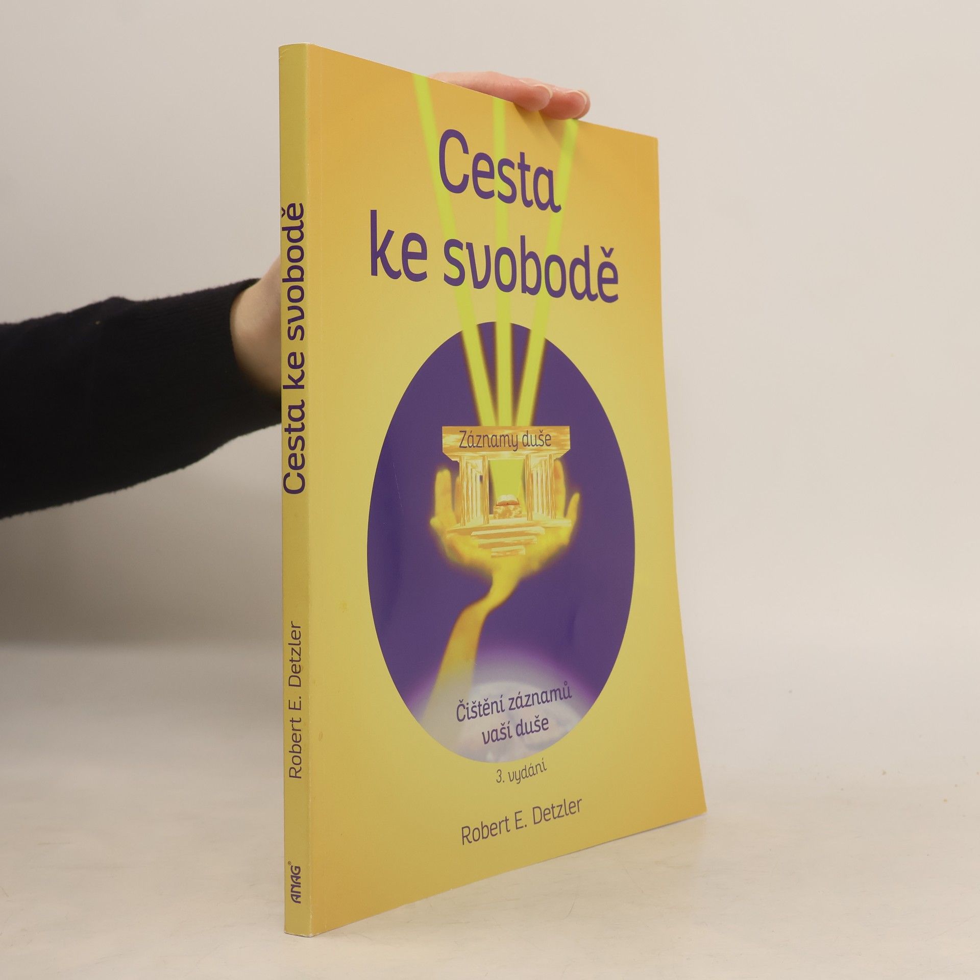 Martin Pech Cesta ke svobodě : vyčištění záznamů vaší duše