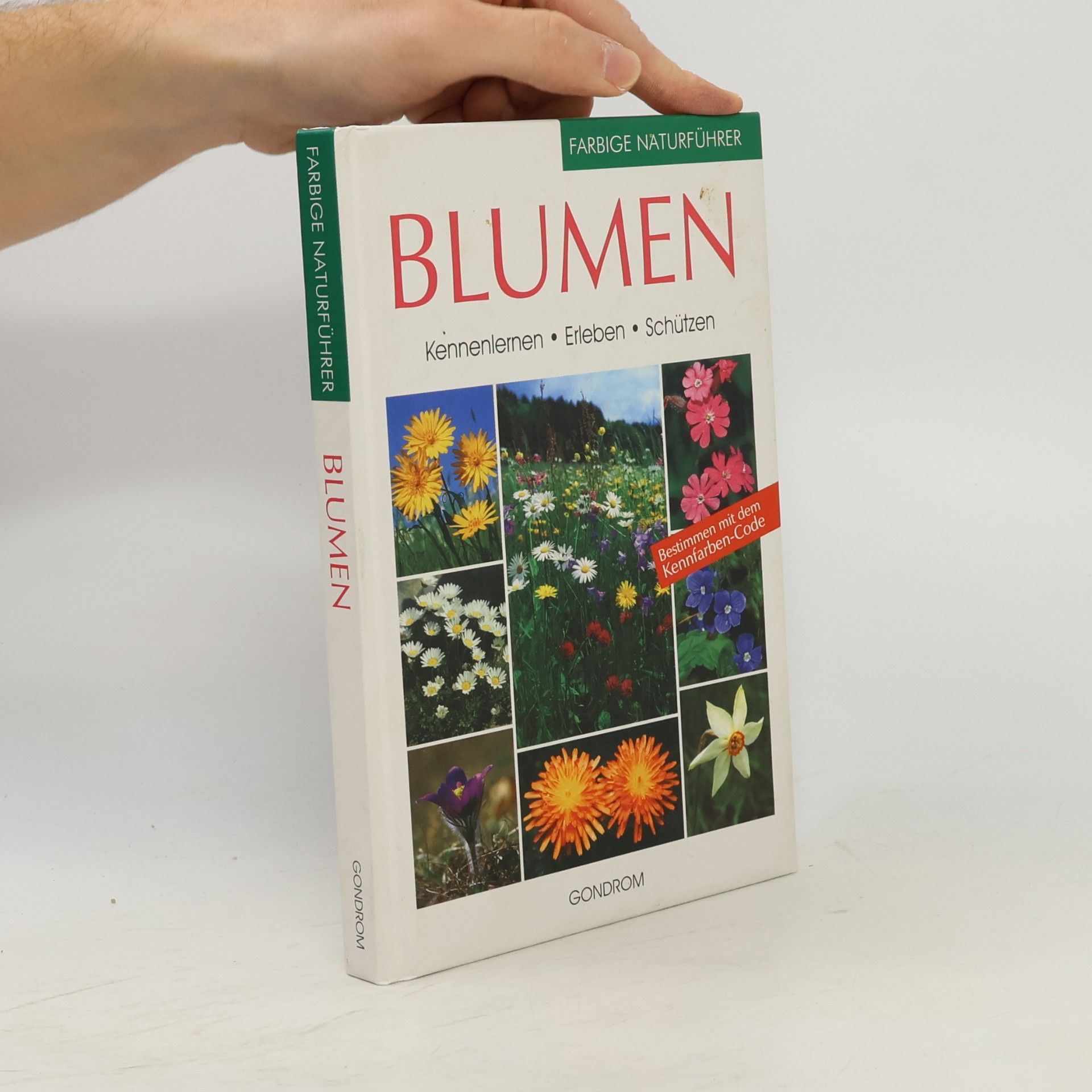 Bruno P. Kremer Blumen