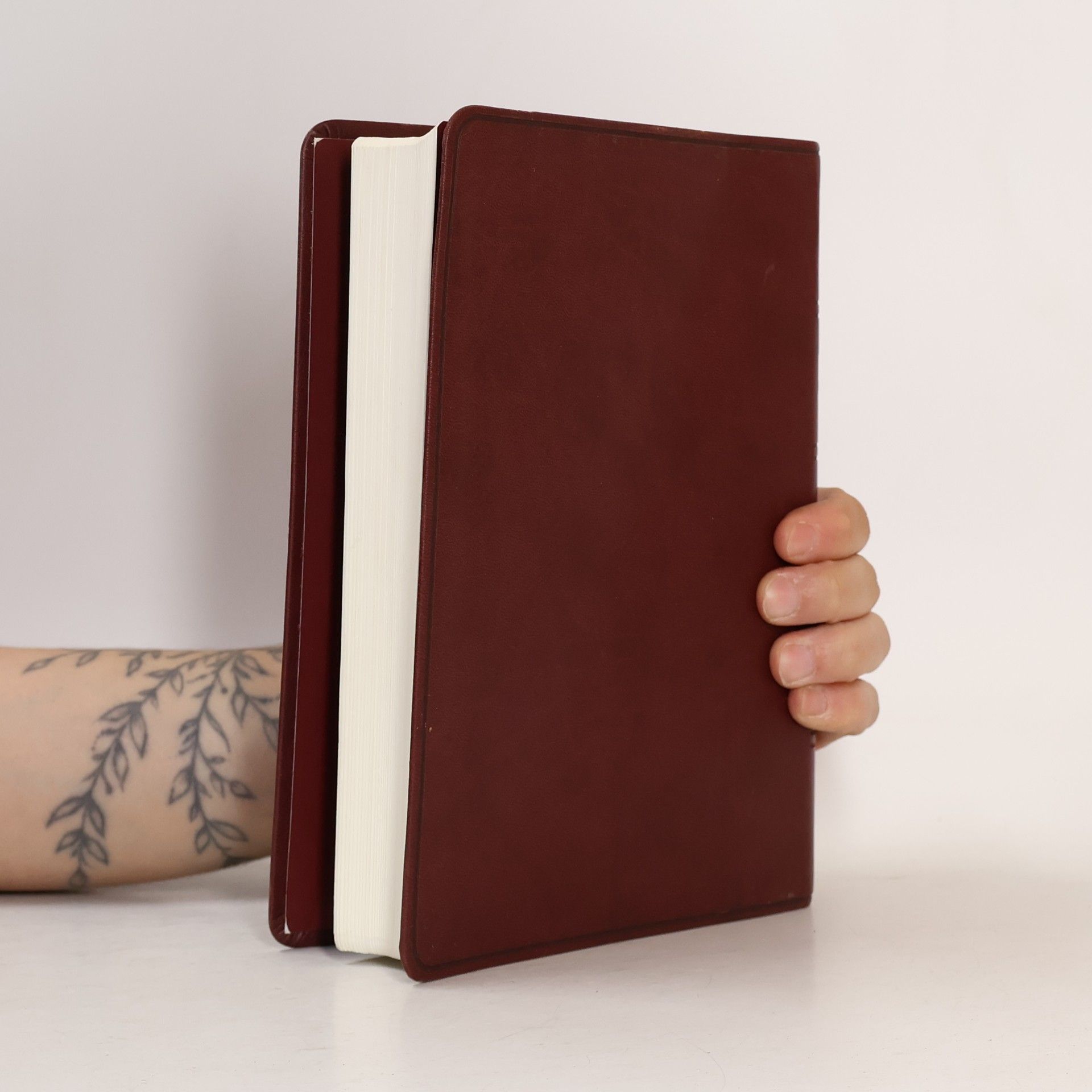 Kolektiv autorů Bible Kralická. Písmo svaté Starého a Nového zákona. Podle posledního vydání z roku 1613