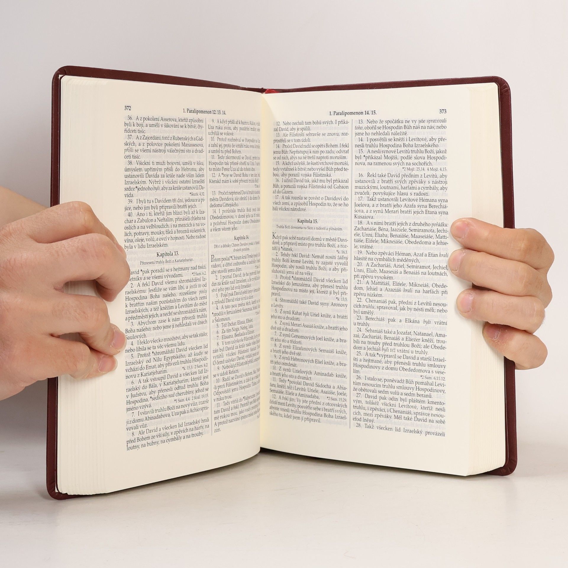 Kolektiv autorů Bible Kralická. Písmo svaté Starého a Nového zákona. Podle posledního vydání z roku 1613