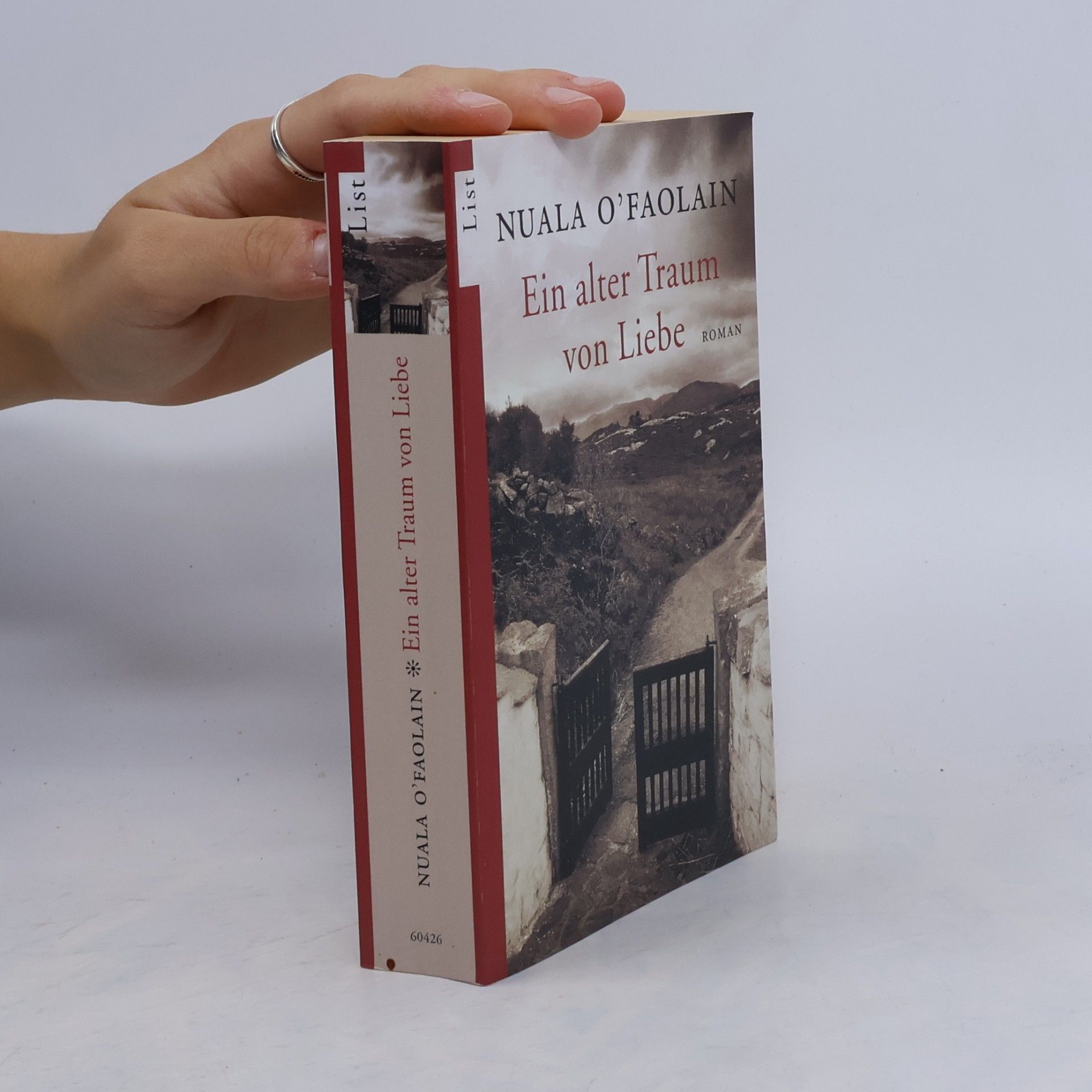 Nuala O. Faolain Ein alter Traum von Liebe