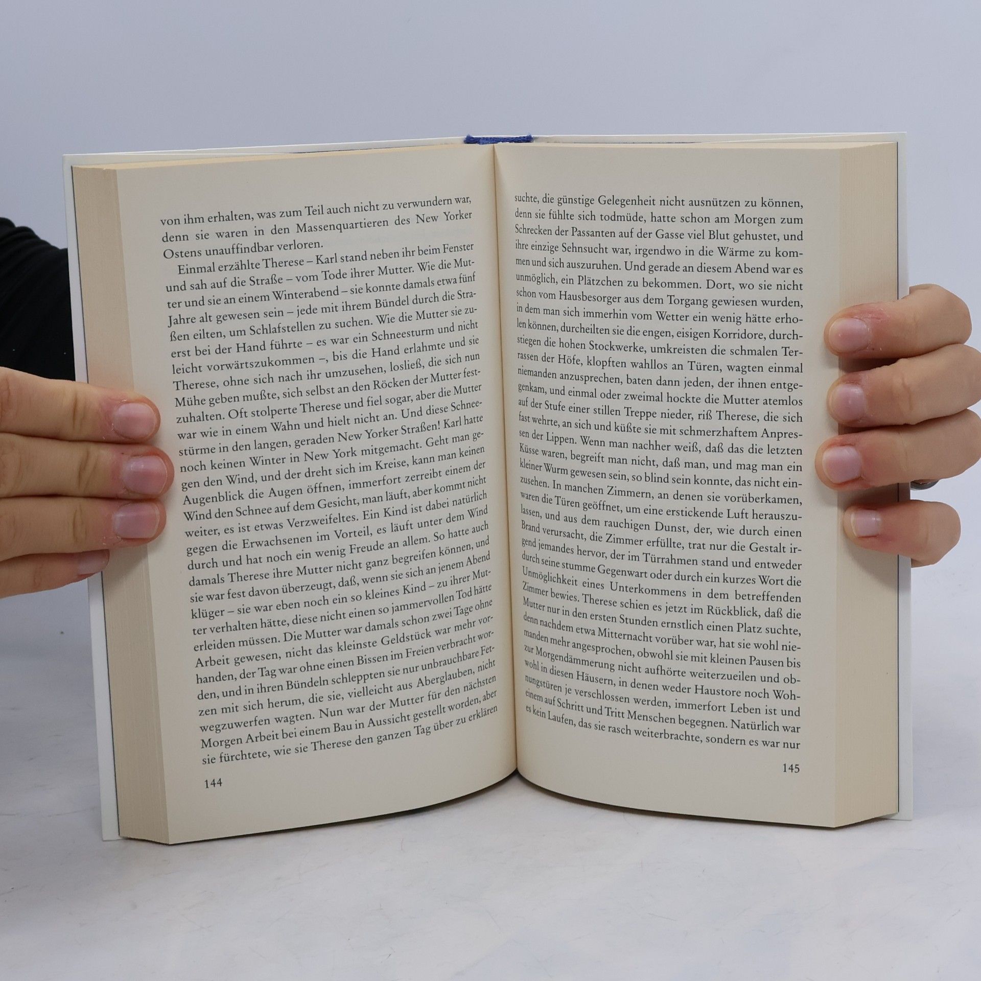 Franz Kafka Der Verschollene