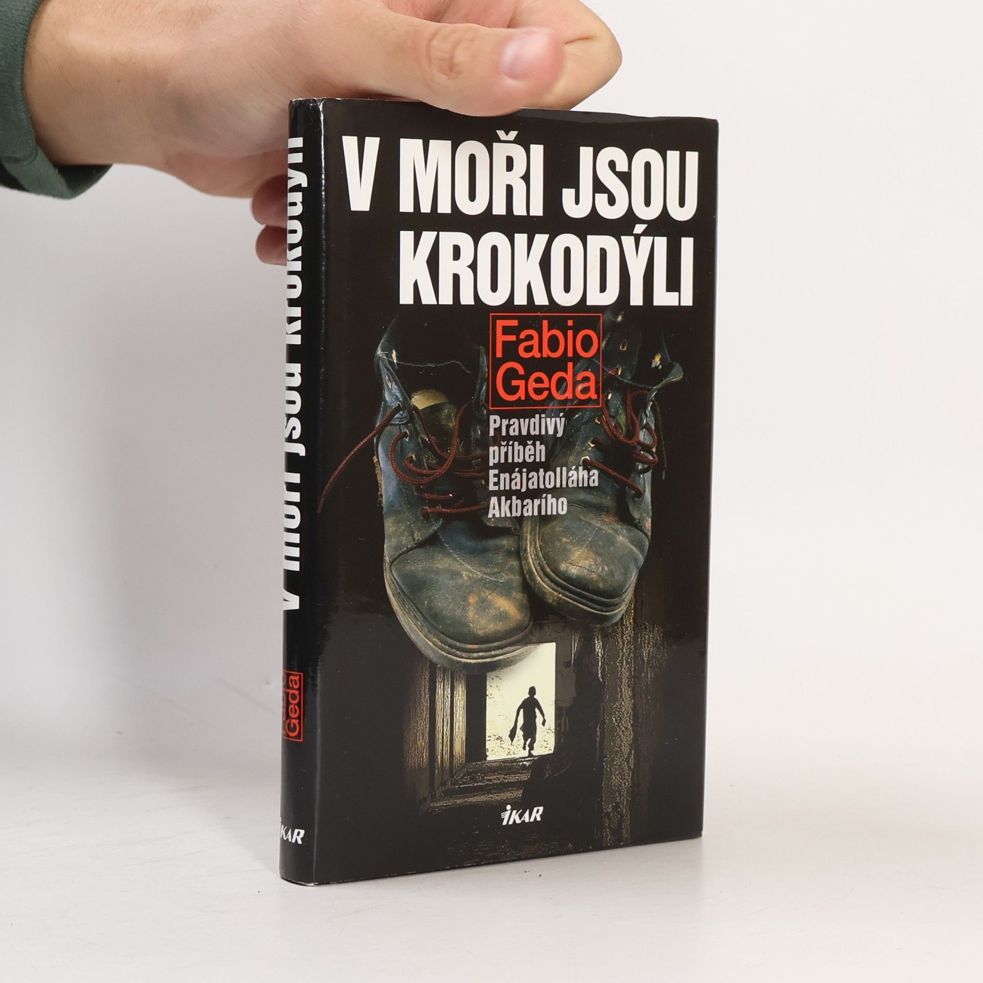 Fabio Geda V moři jsou krokodýli: Pravdivý příběh Enájatolláha Akbarího