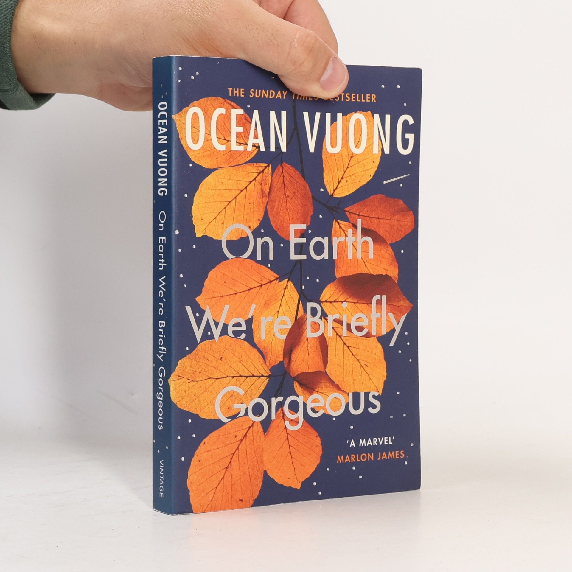 Ocean Vuong On Earth We're Briefly Gorgeous