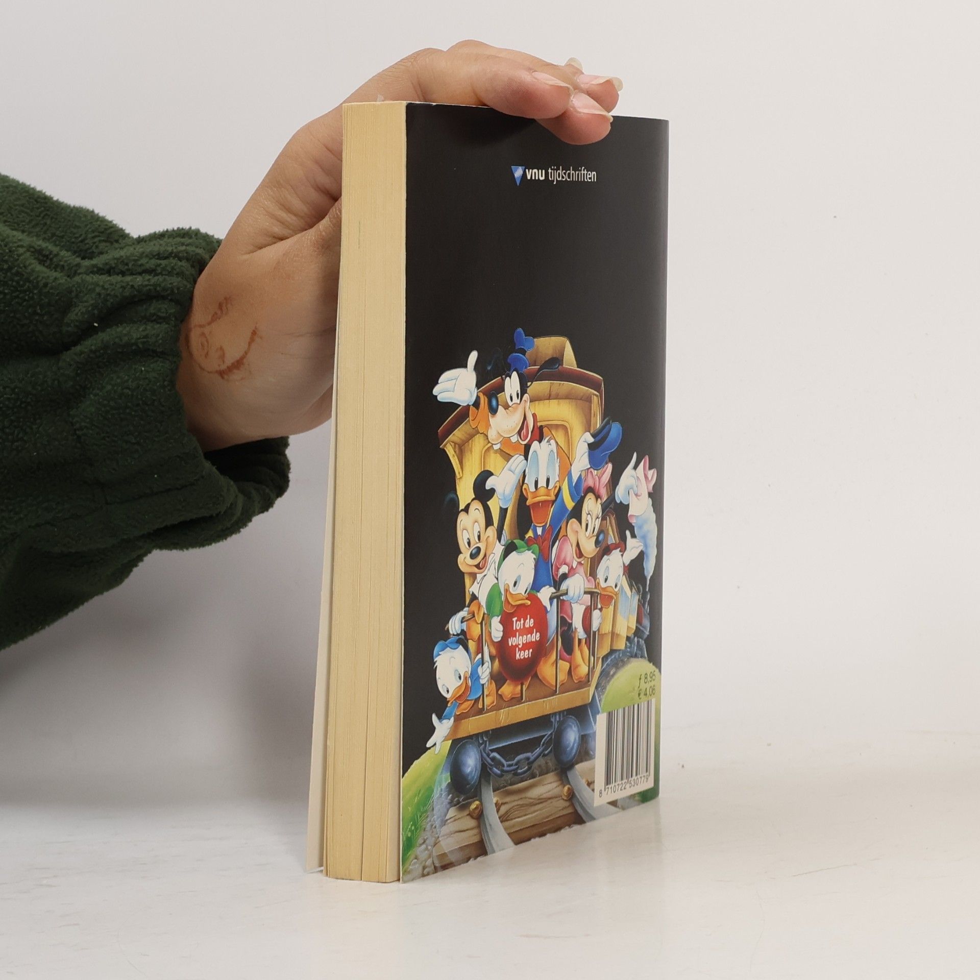 Walt Disney De Millennium-gekte 65
