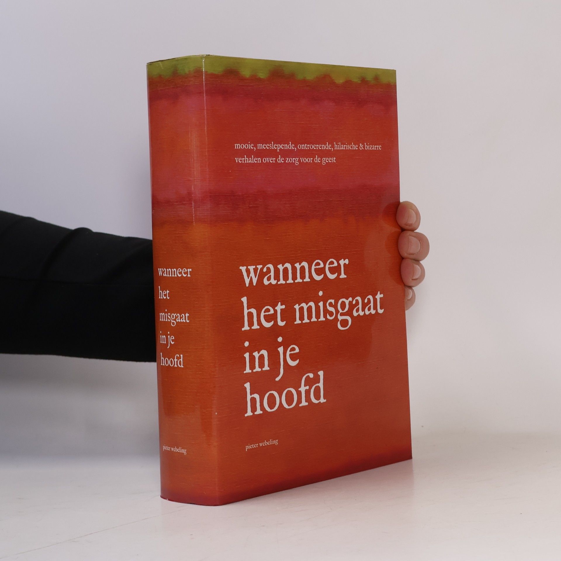 Wanneer het misgaat in je hoofd