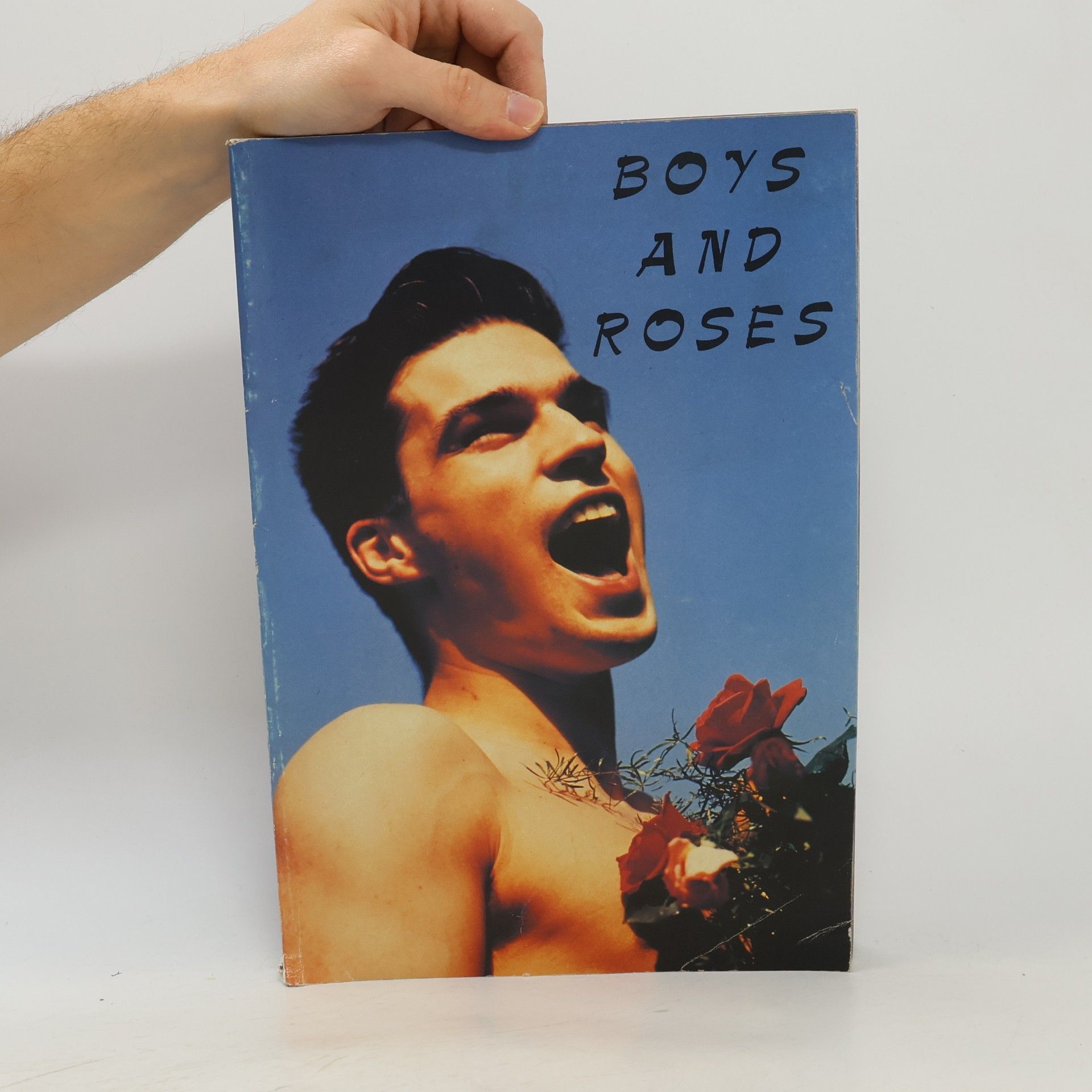 Robert Vano Boys and Roses