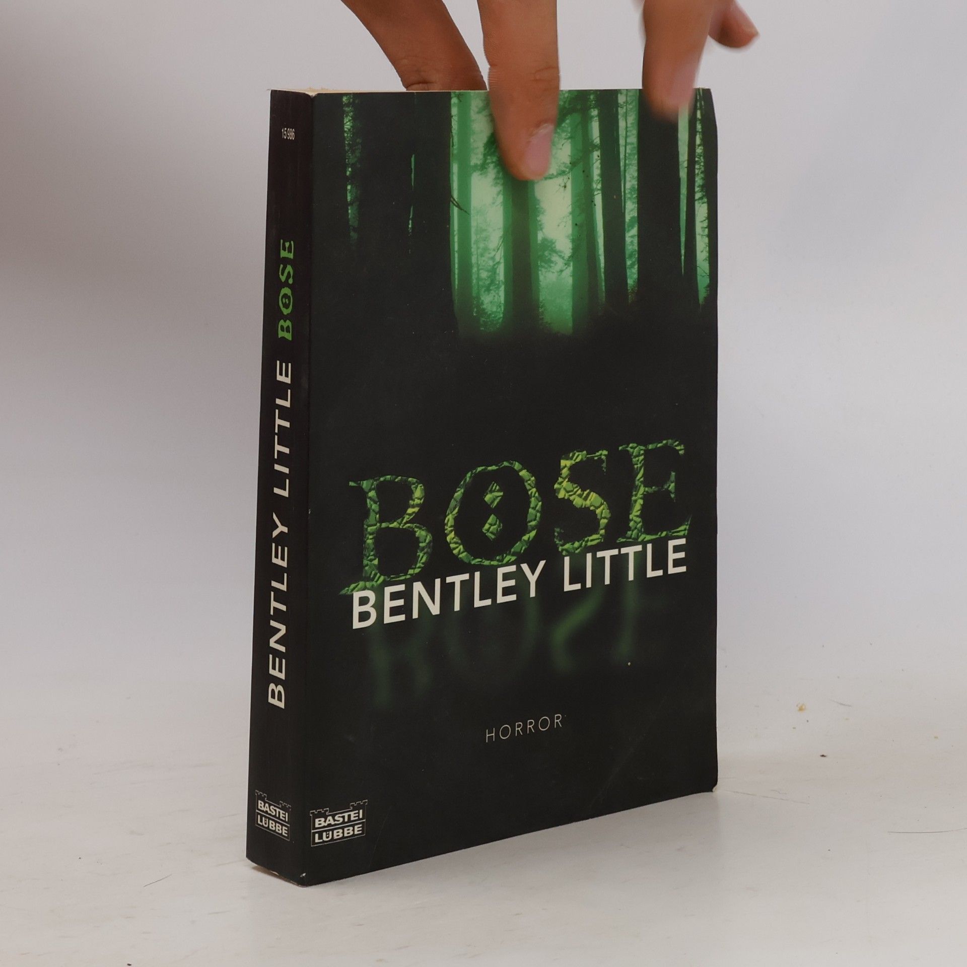 Bentley Little Böse