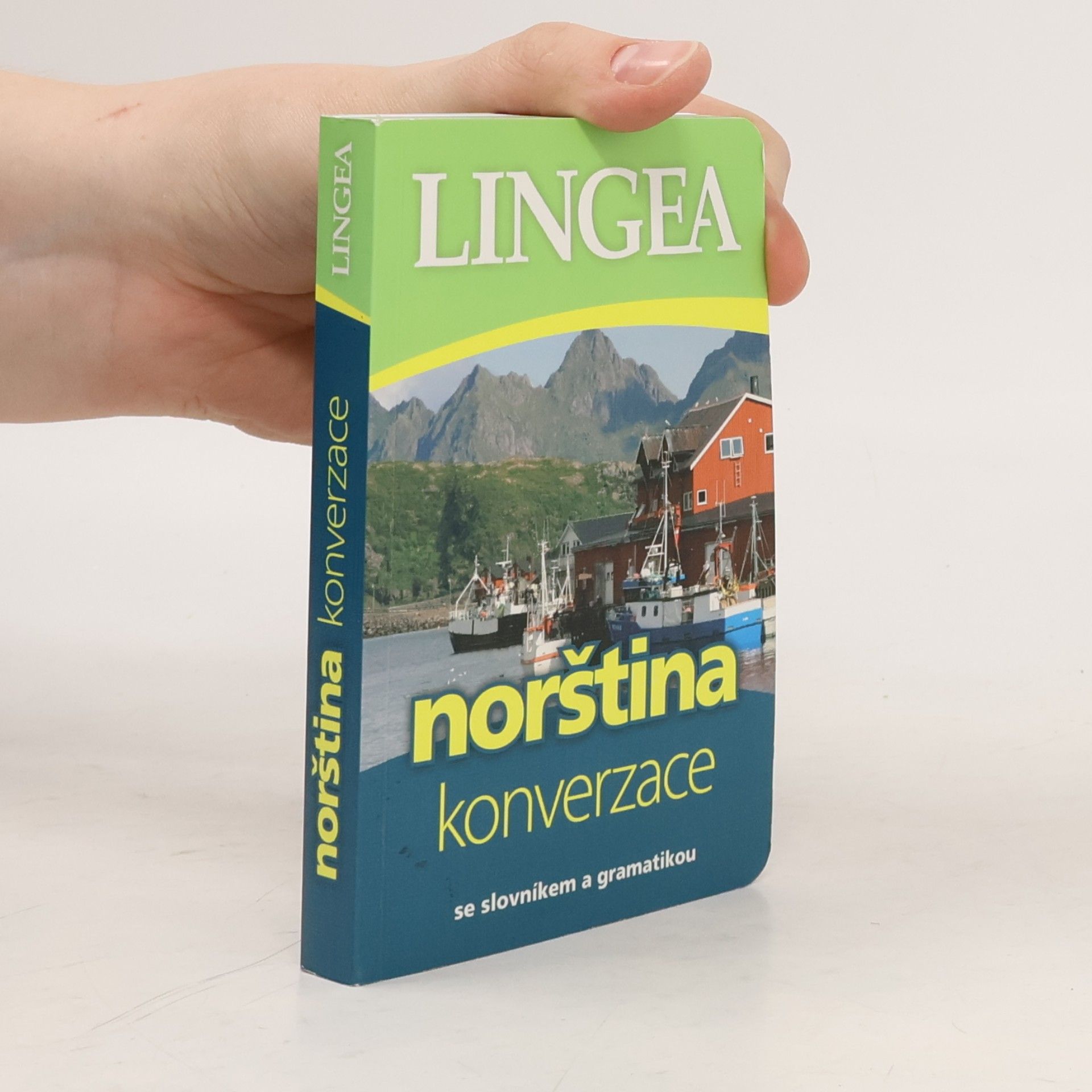 Various authors Norština. Konverzace se slovníkem a gramatikou