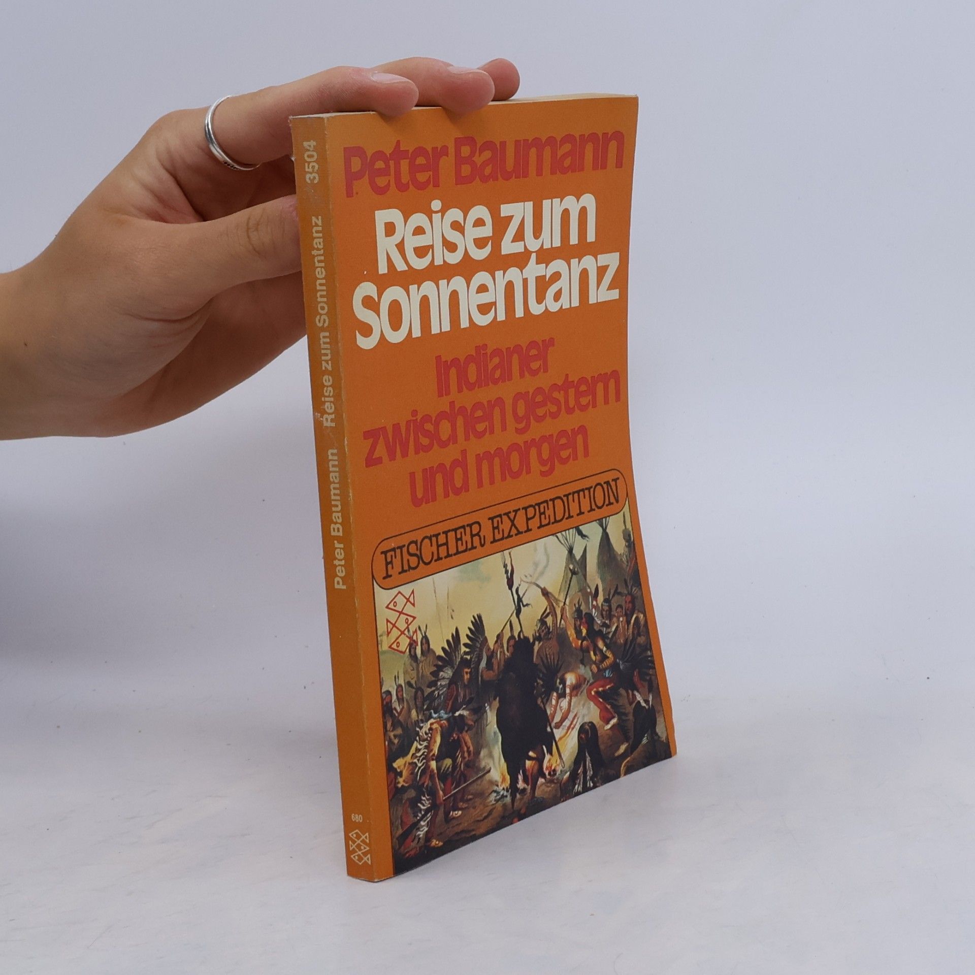Peter Baumann Reise zum Sonnentanz