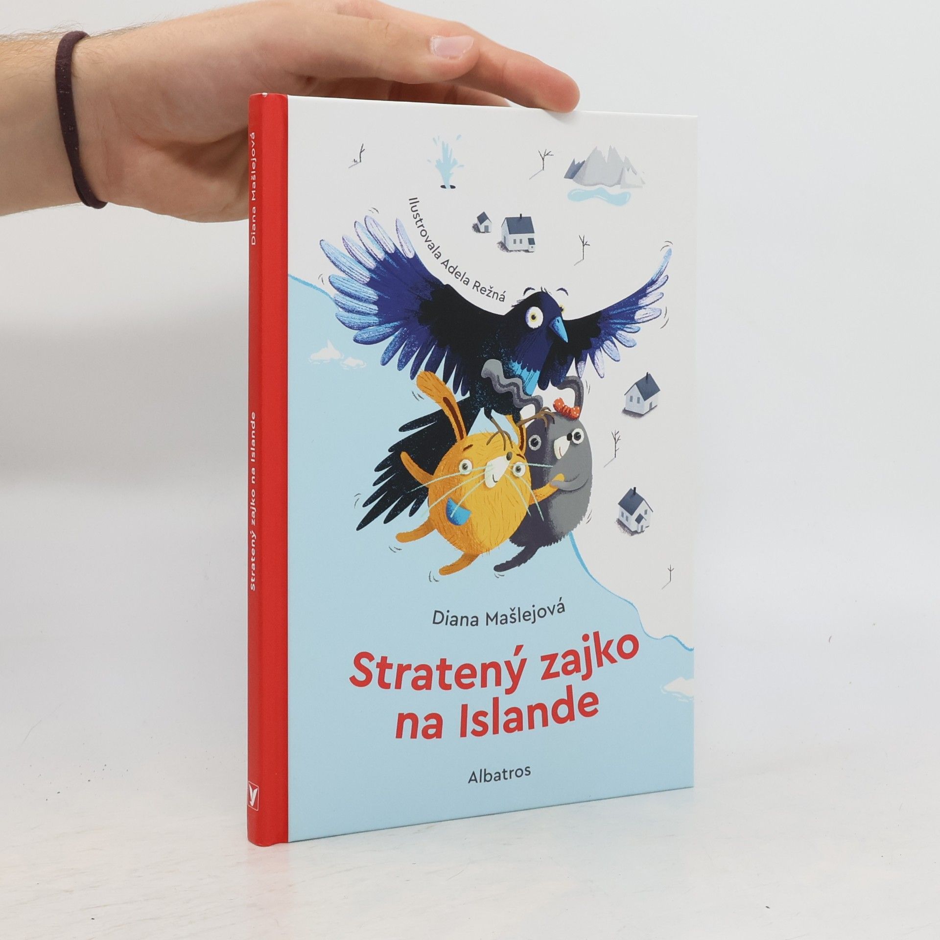 Stratený zajko na Islande