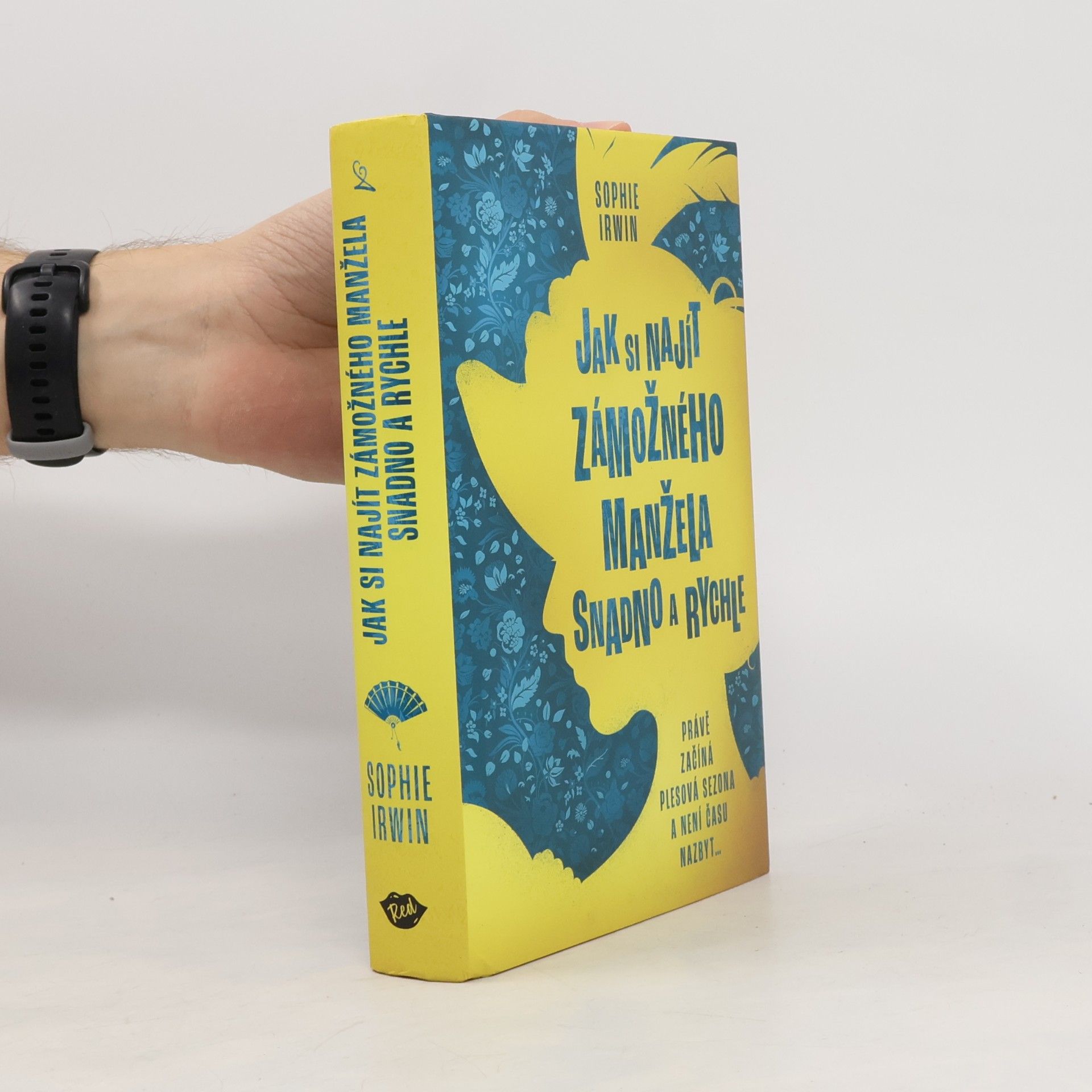 Sophie Irwin Jak si najít zámožného manžela snadno a rychle