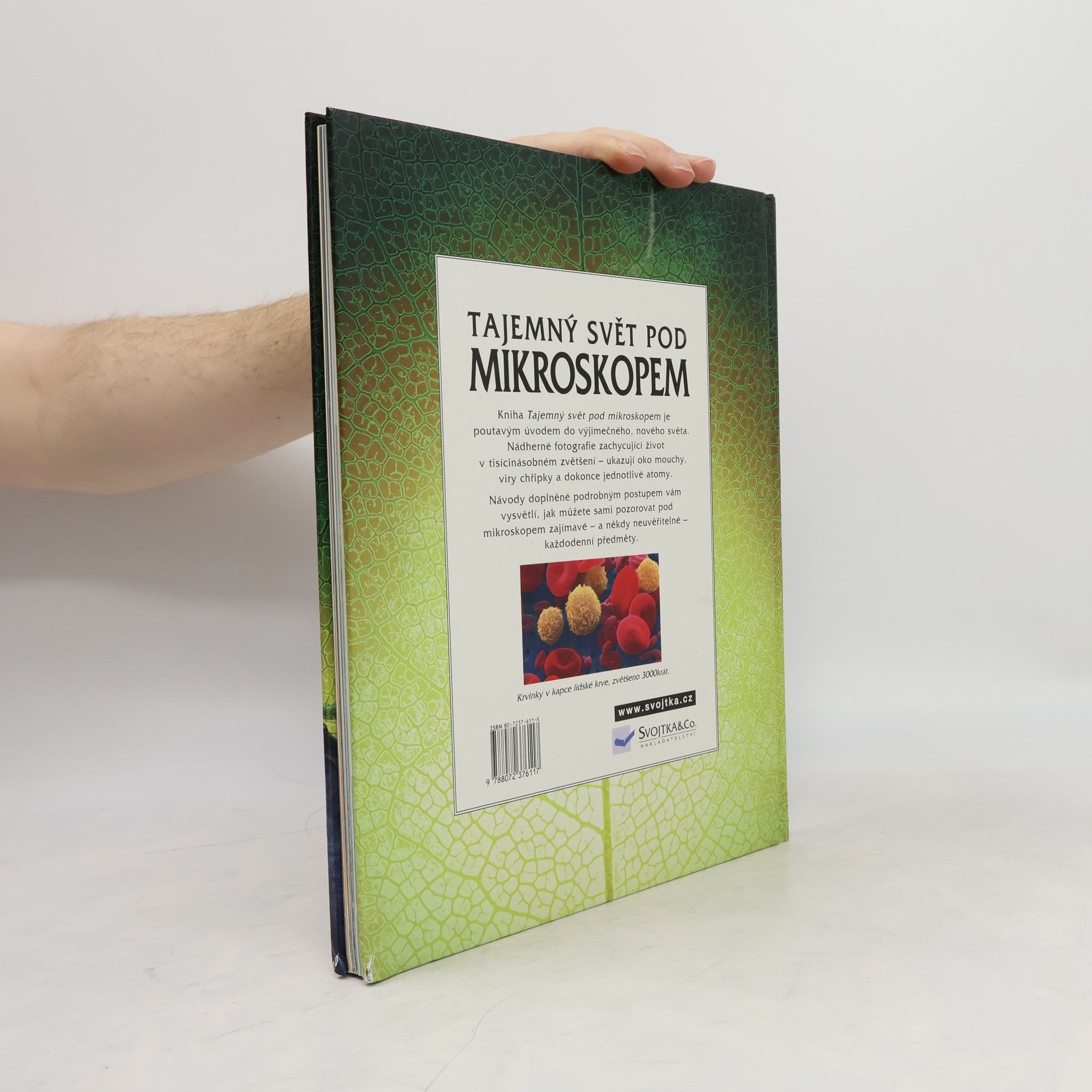 Kirsteen Rogers Tajemný svět pod mikroskopem