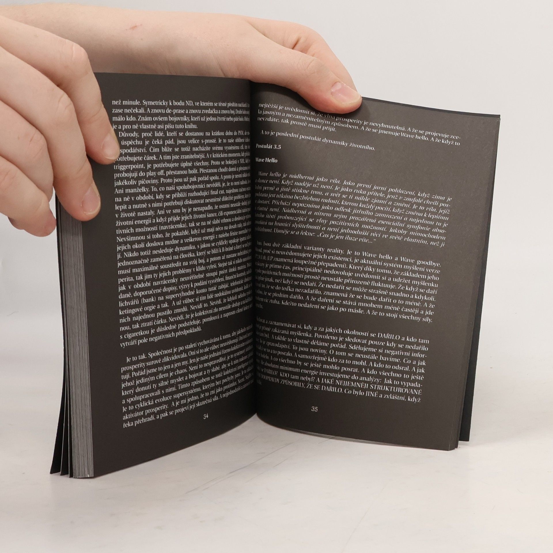 Robert Lví Srdce Theory of Surreality. Díl I.