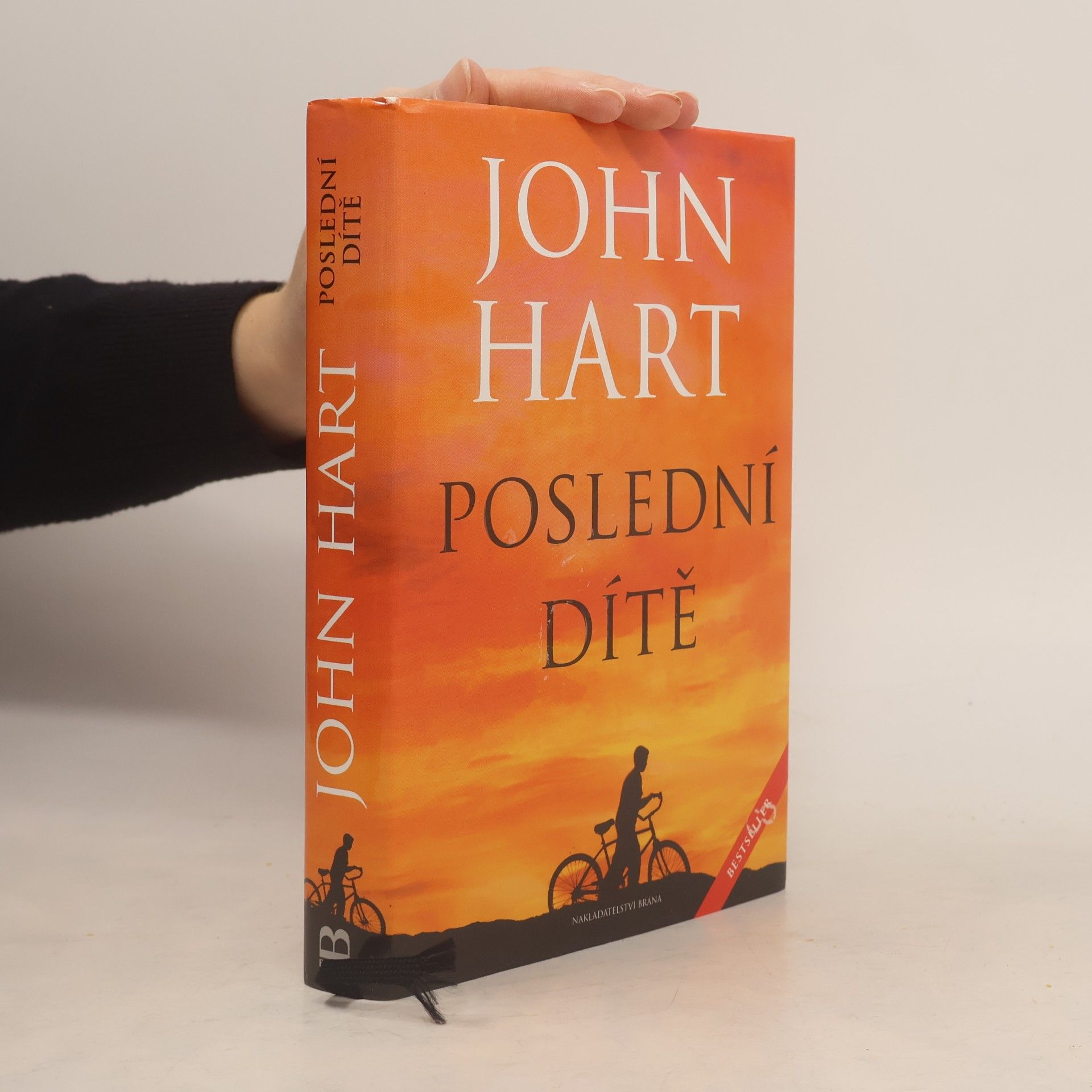 John Hart Poslední dítě