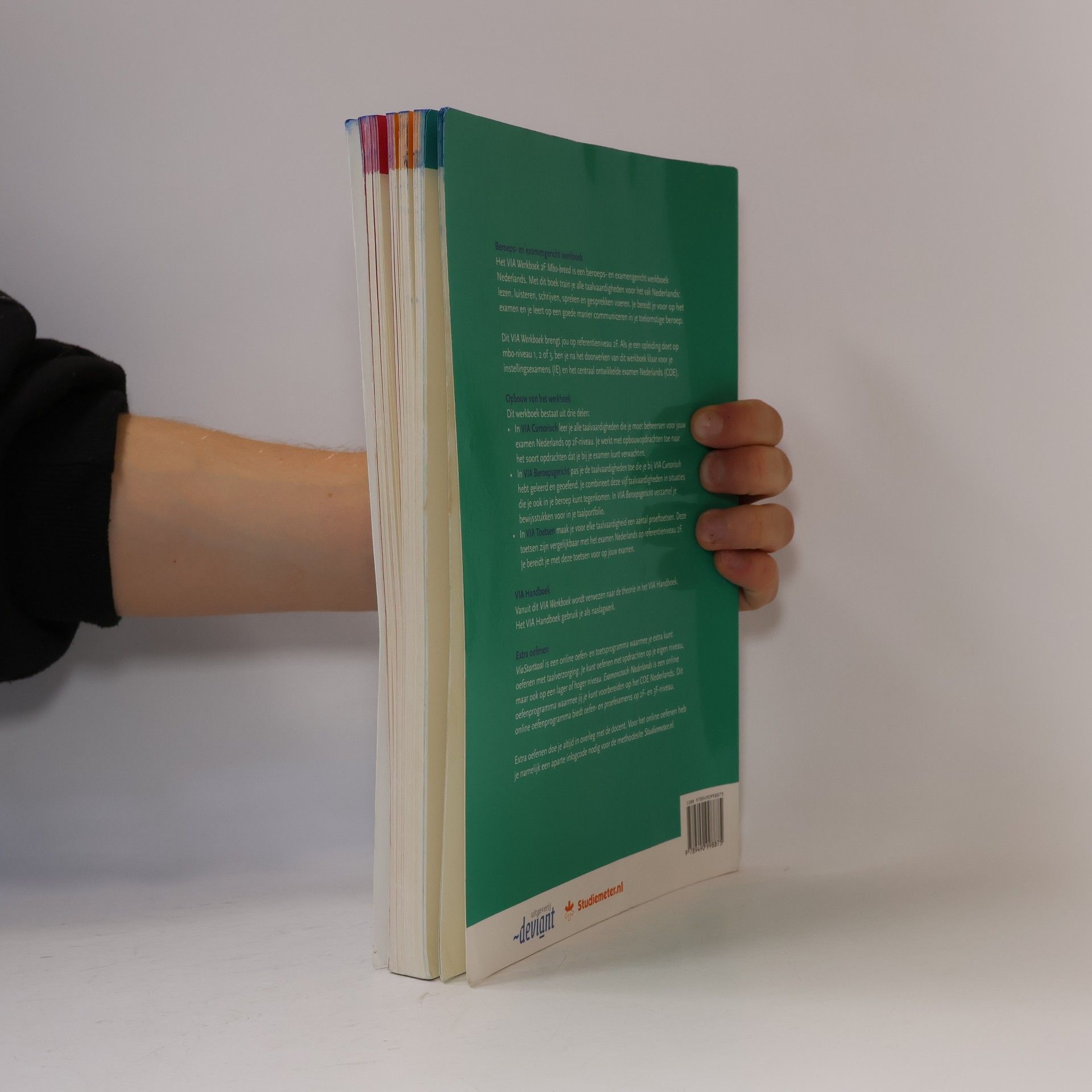 Ruud van den Belt VIA: Werkboek 2F Mbo-breed