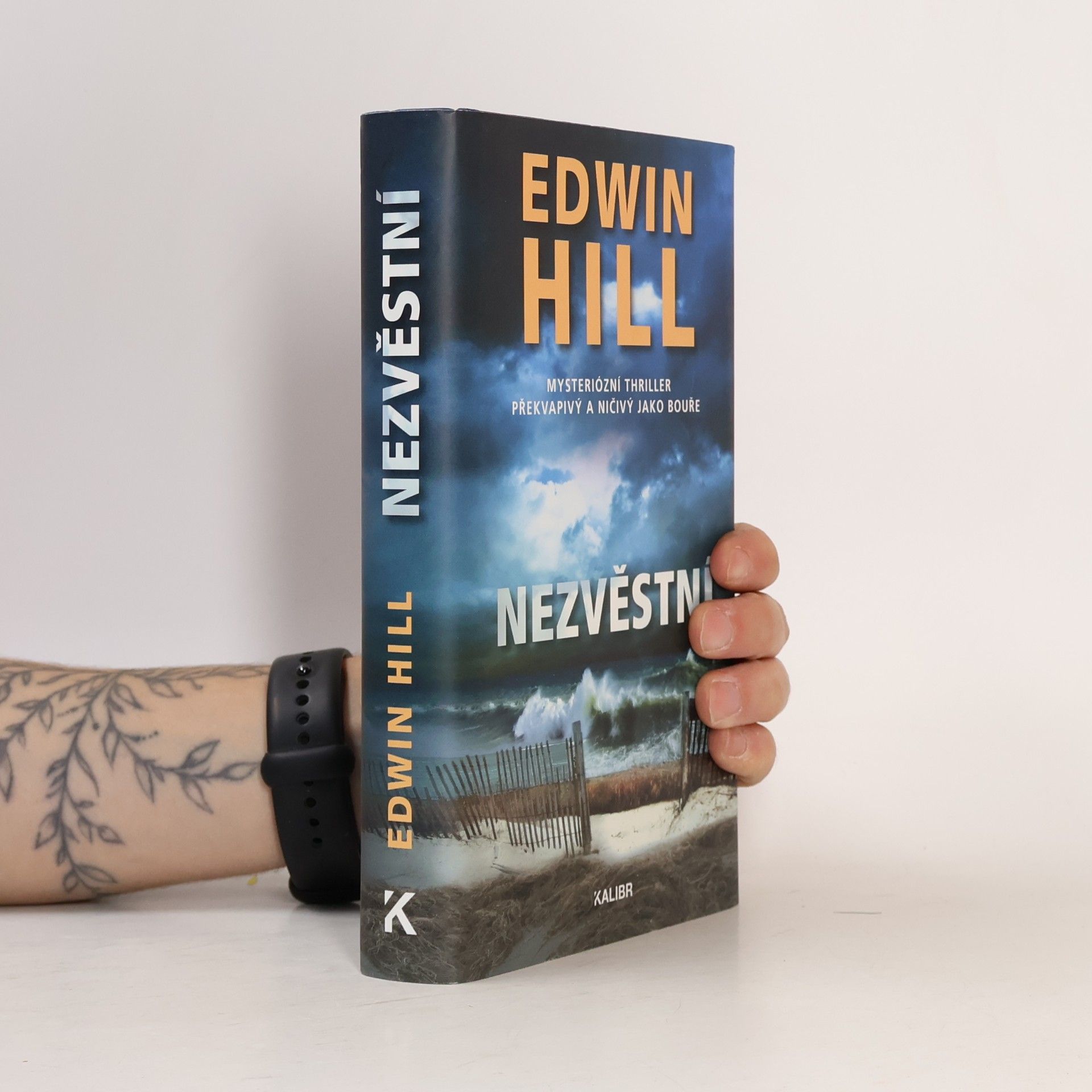 Edwin Hill Nezvěstní