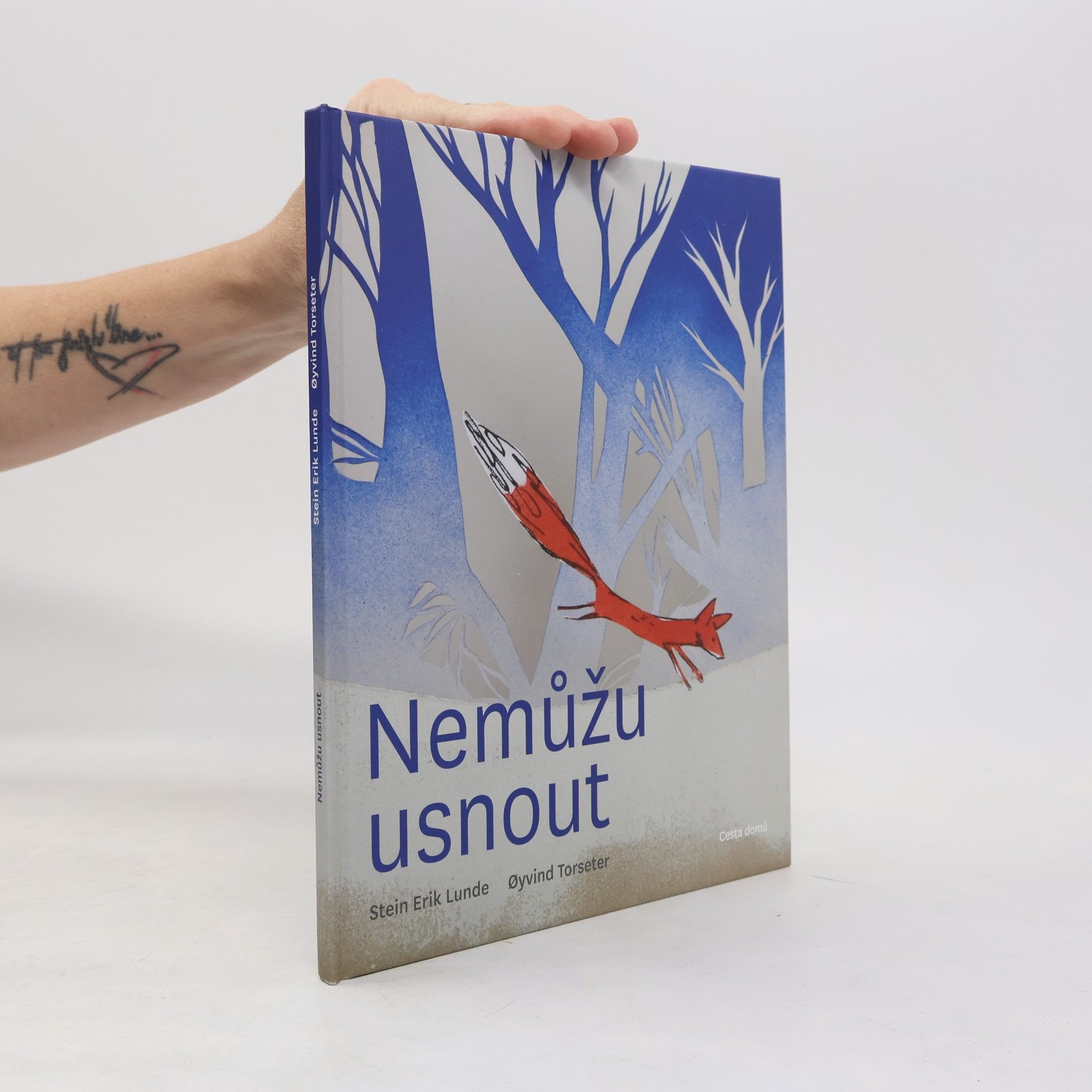 Stein Erik Lunde Nemůžu usnout