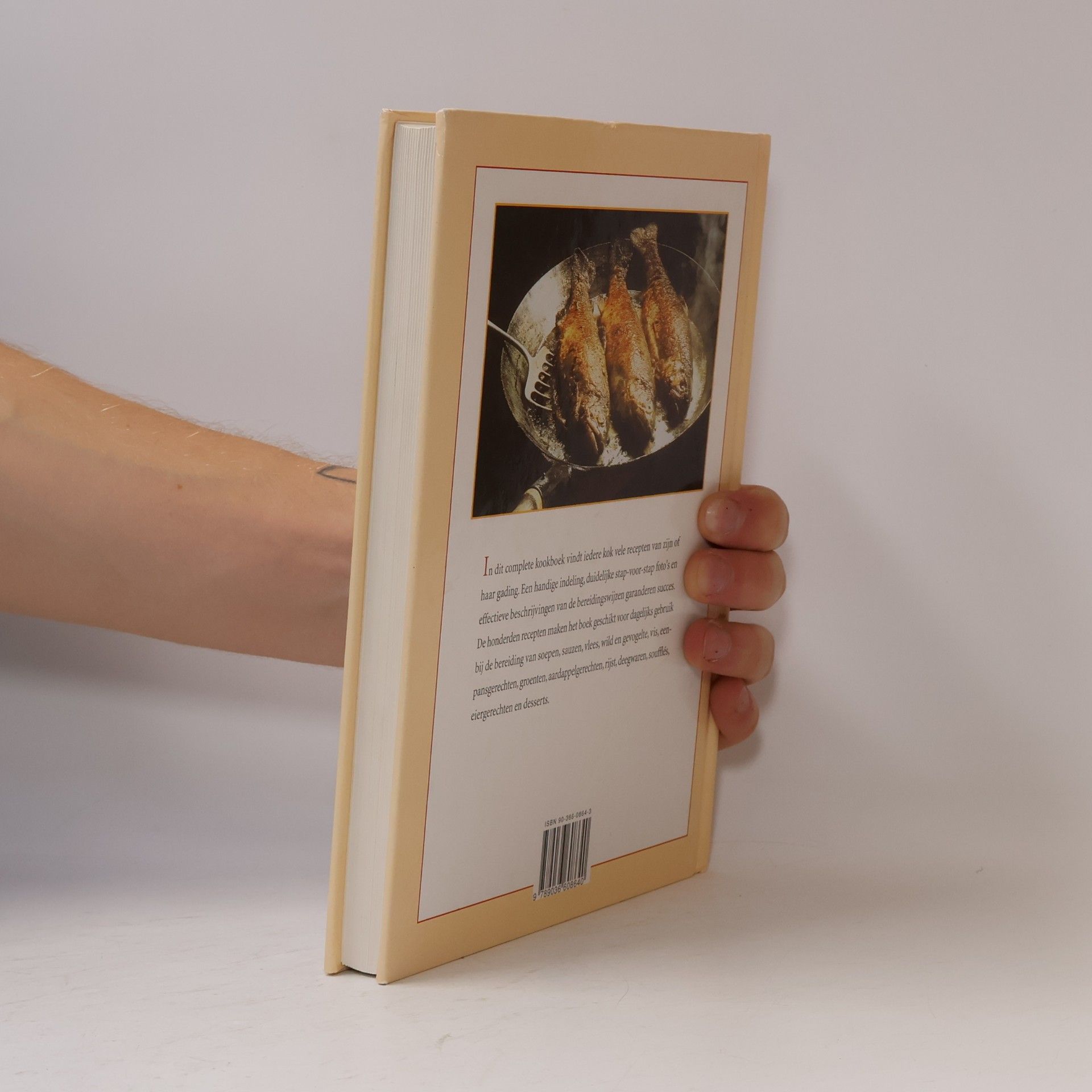 Ria van Eijndhoven Basiskookboek