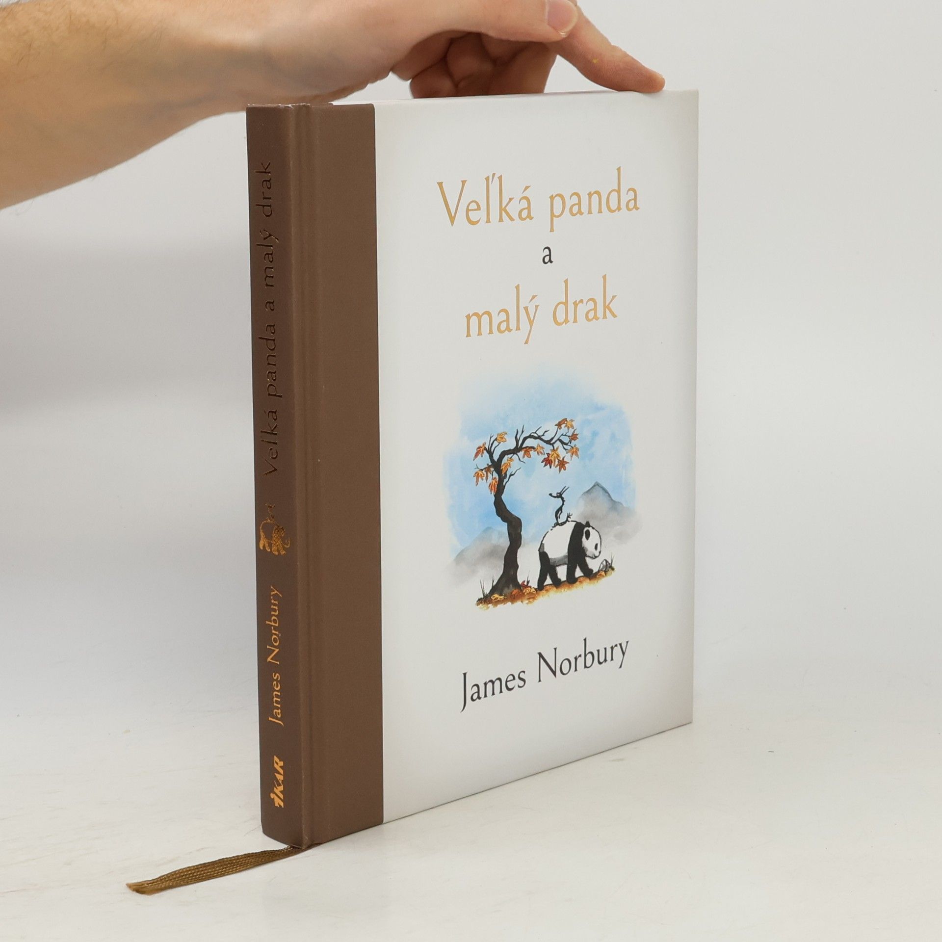 James Norbury Veľká panda a malý drak