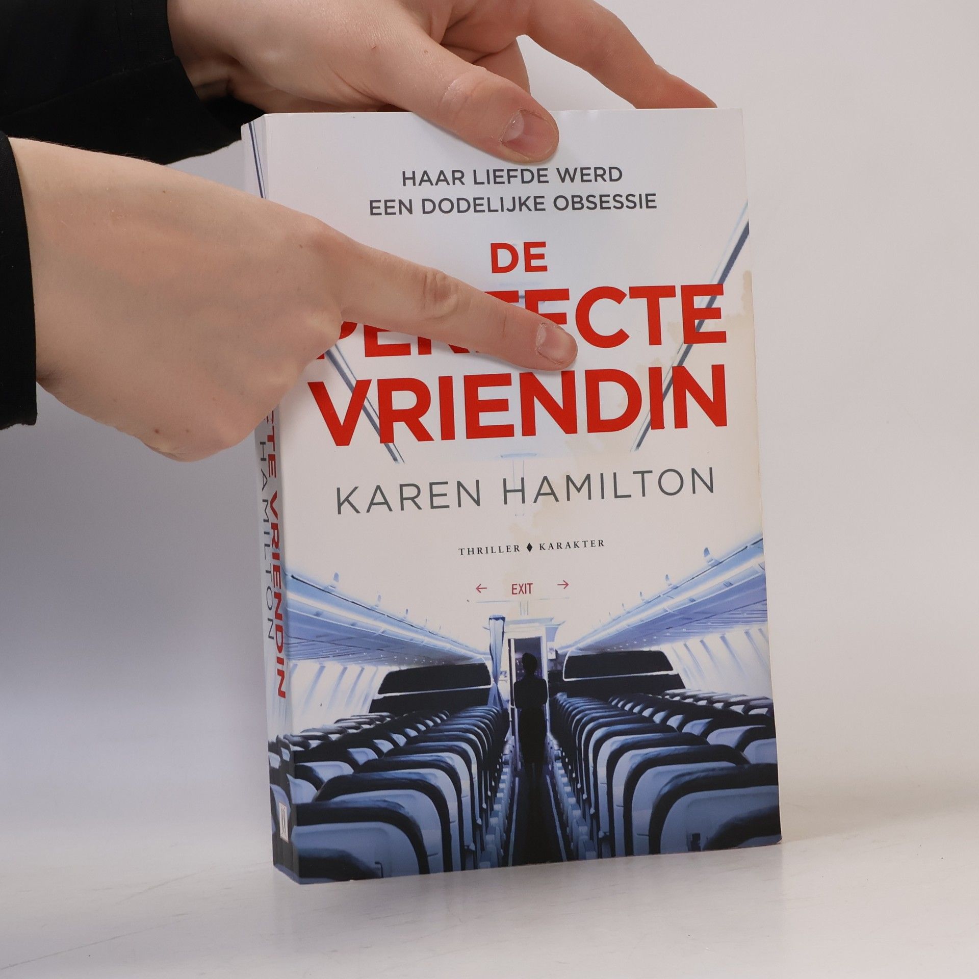 Karen Hamilton De perfecte vriendin