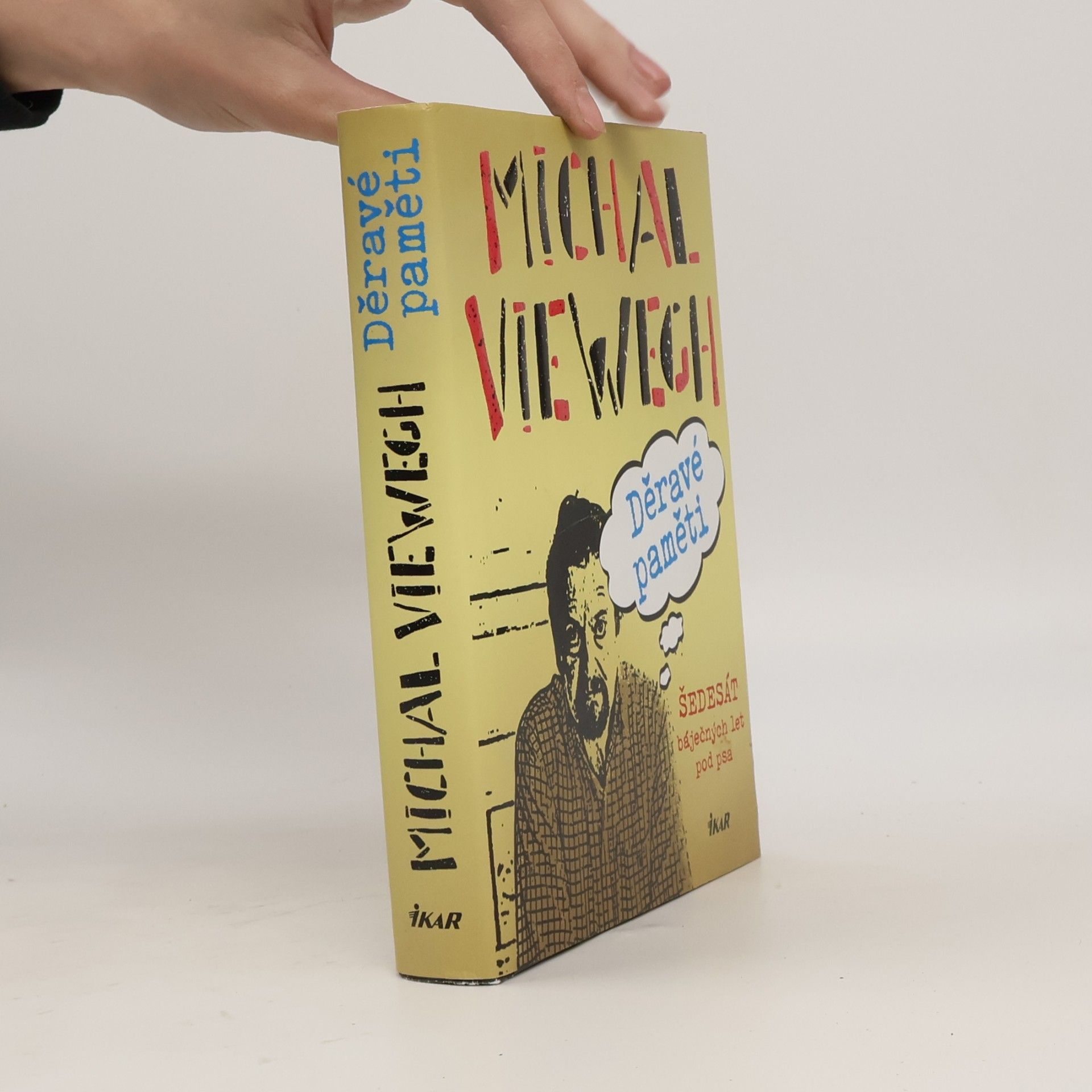 Michal Viewegh Děravé paměti