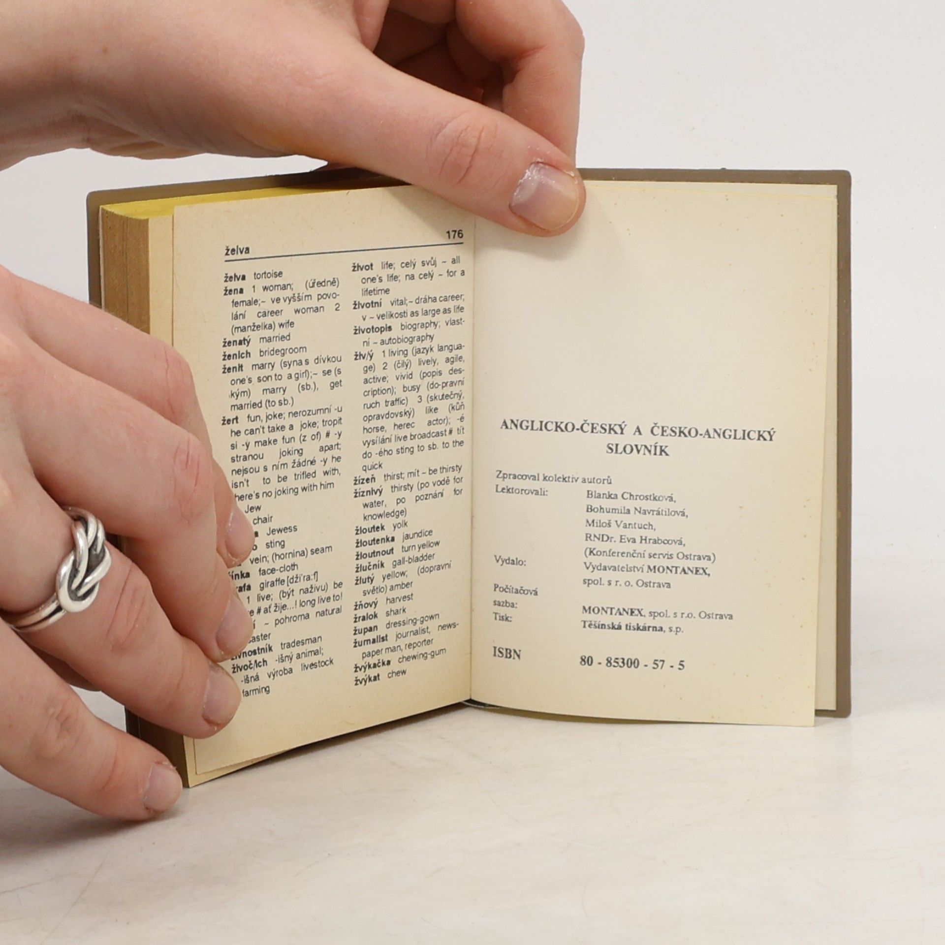 Autorenkollektiv Anglicko-český česko-anglický slovník