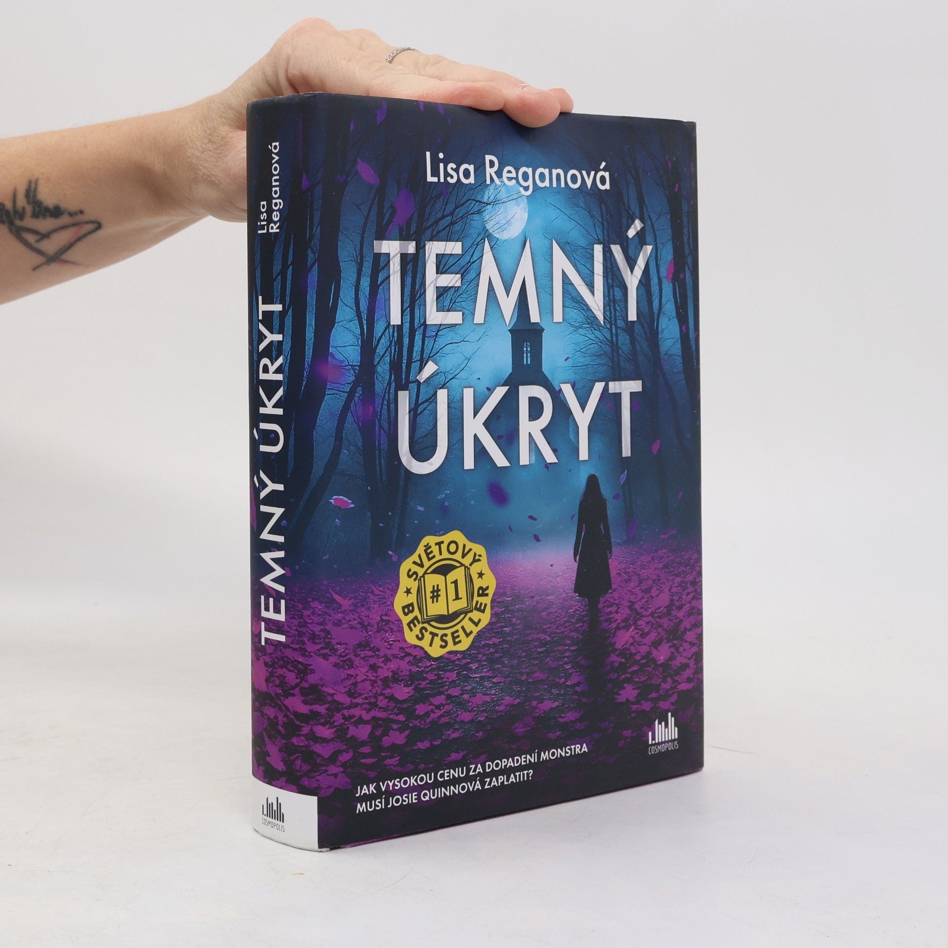 Lisa Regan Temný úkryt