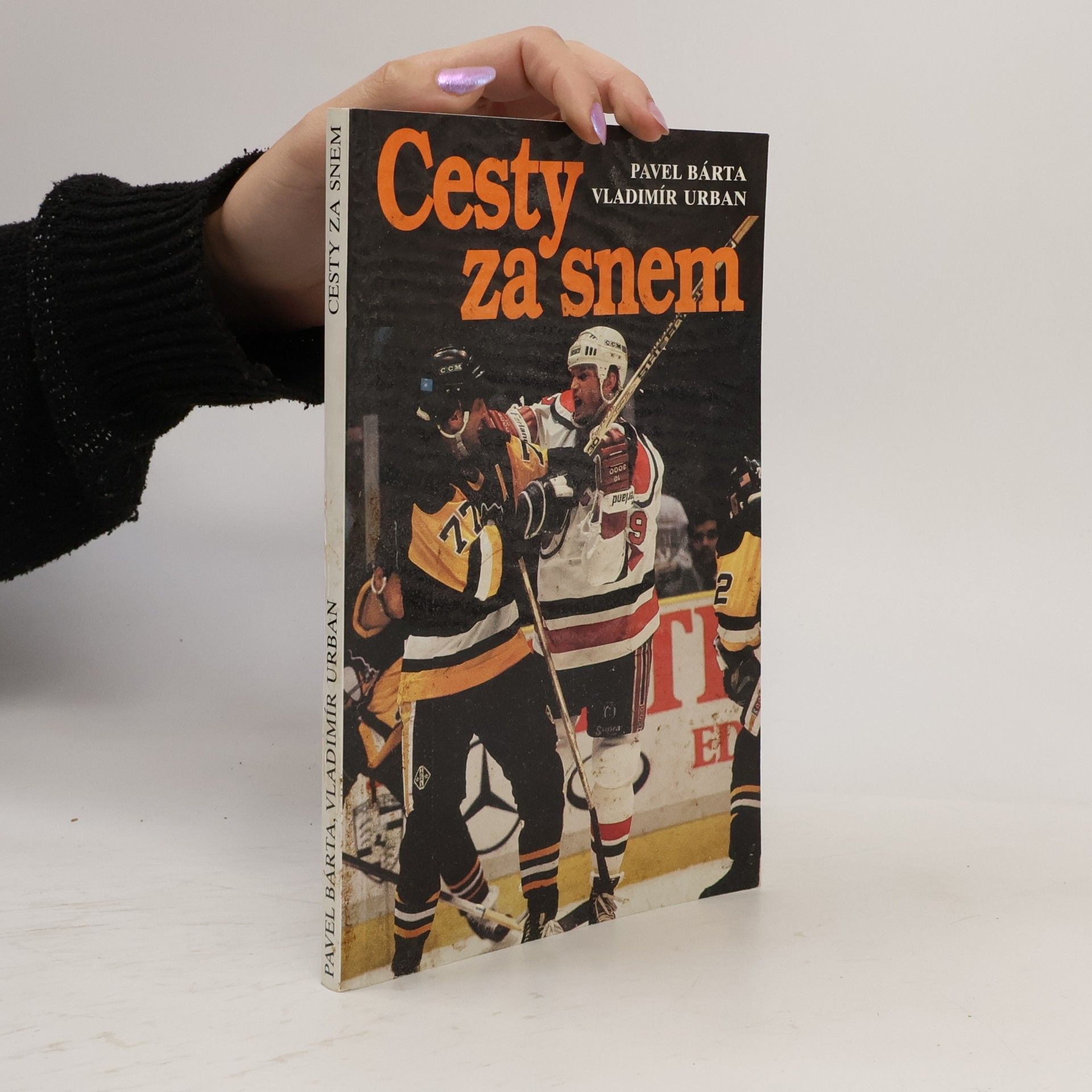 Cesty za snem