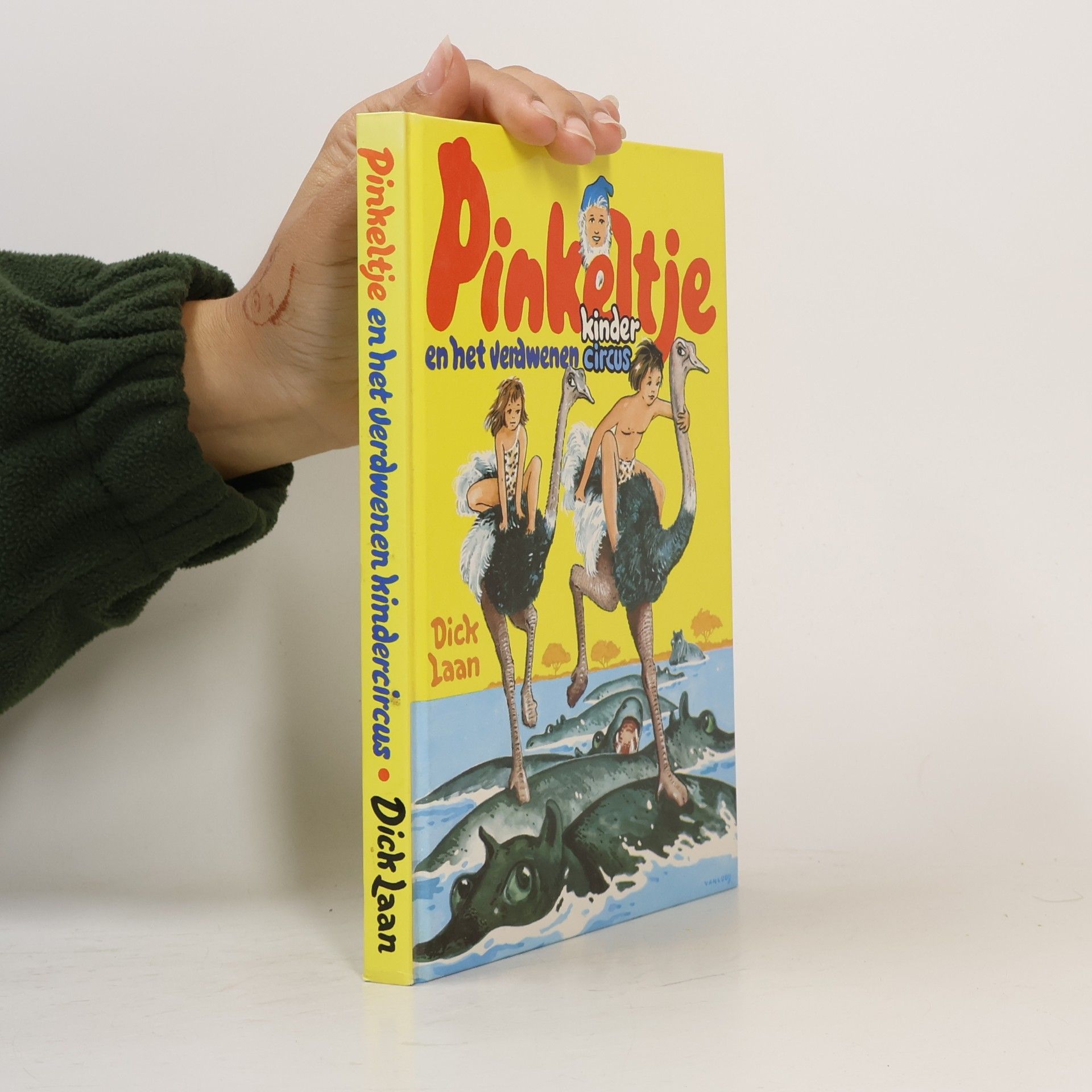Dick Laan Pinkeltje en het verdwenen kindercircus