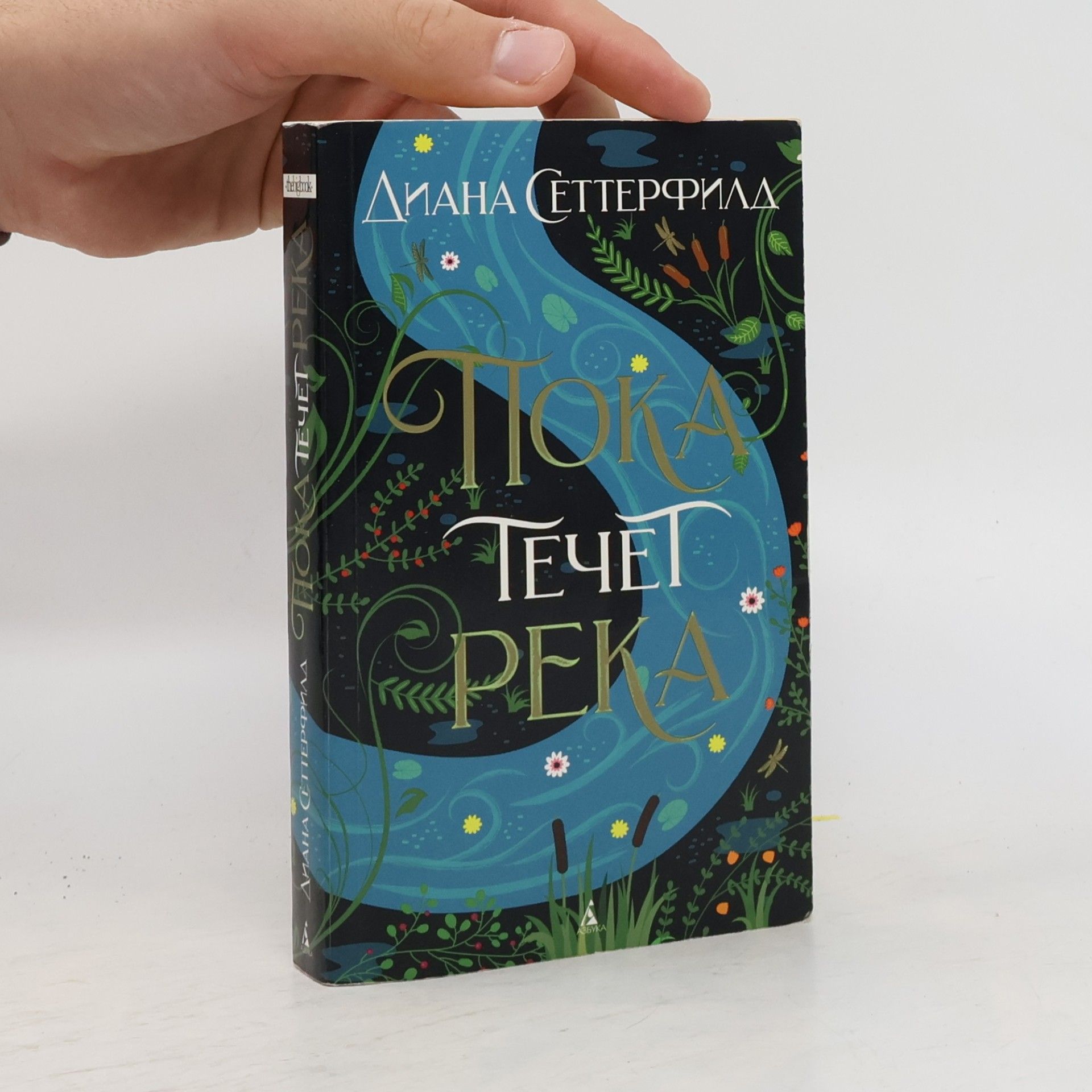 Diane Setterfield Poka techet reka