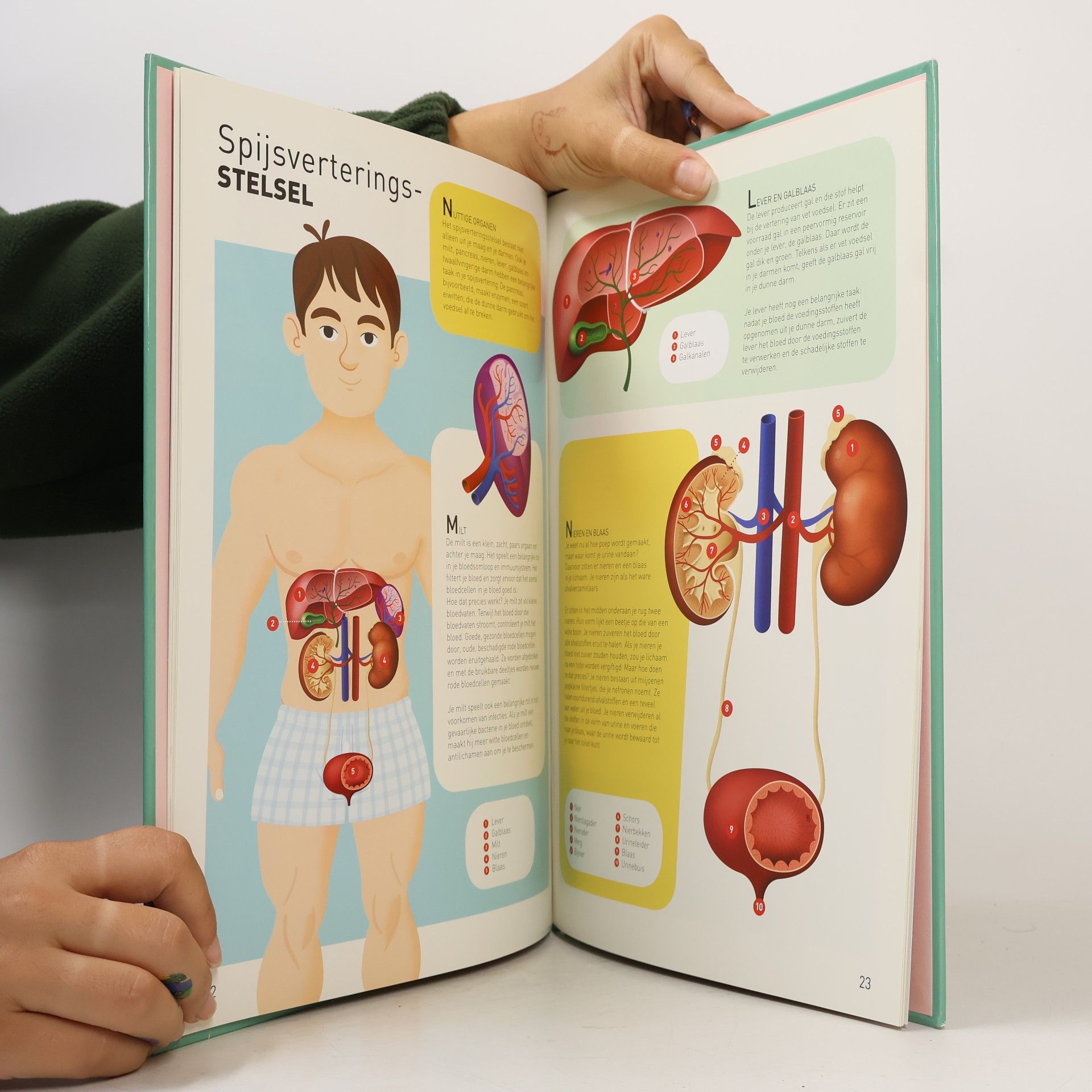 Mijn eerste junior atlas: Het menselijk lichaam