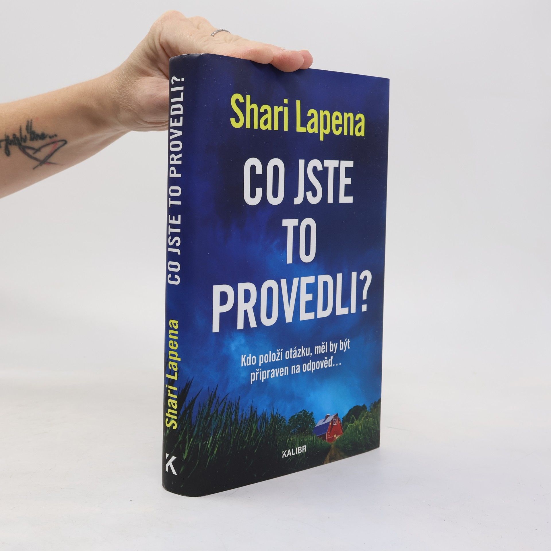 Shari Lapena Co jste to provedli?