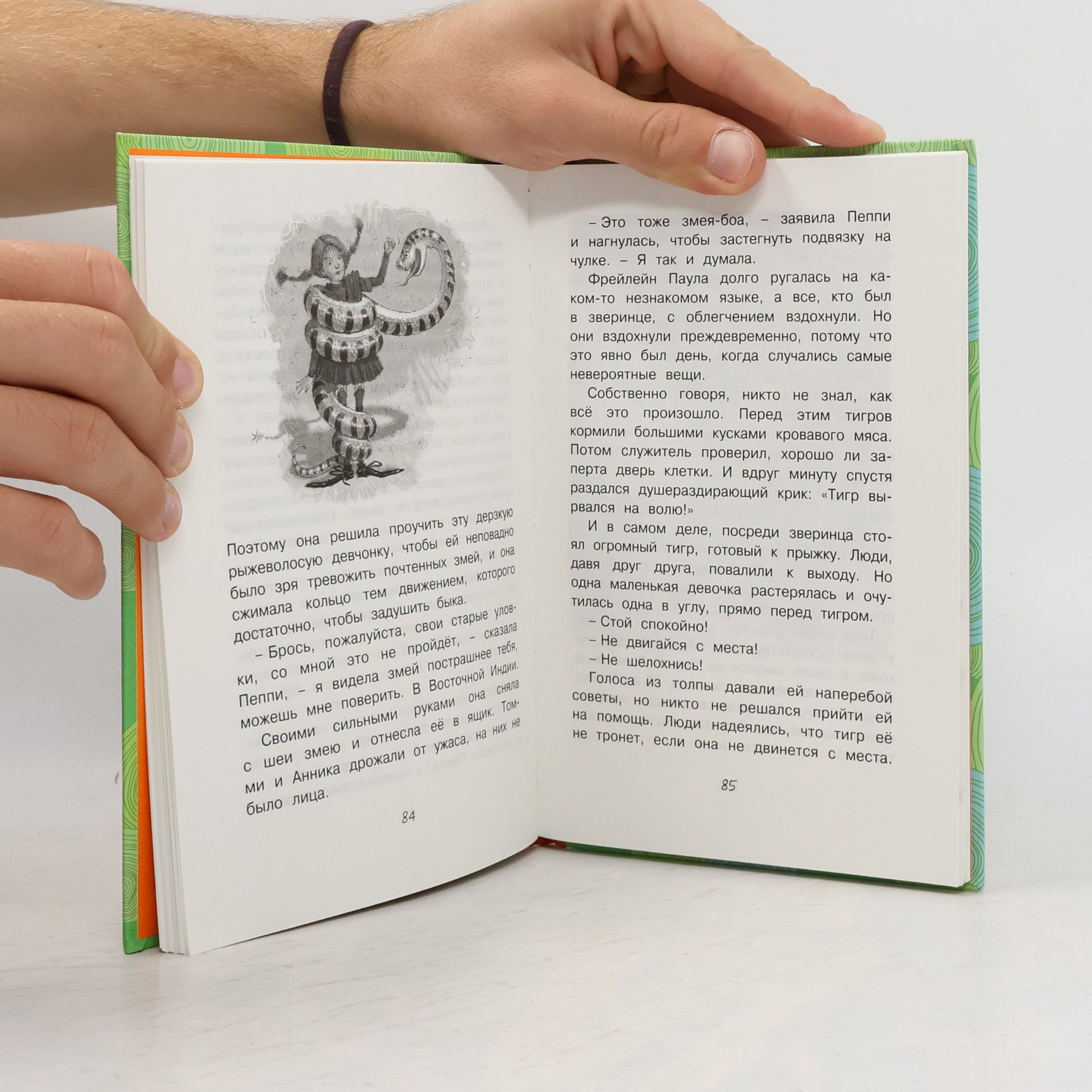 Astrid Lindgren Чтение – лучшее учение: Пеппи Длинныйчулок собирается в путь