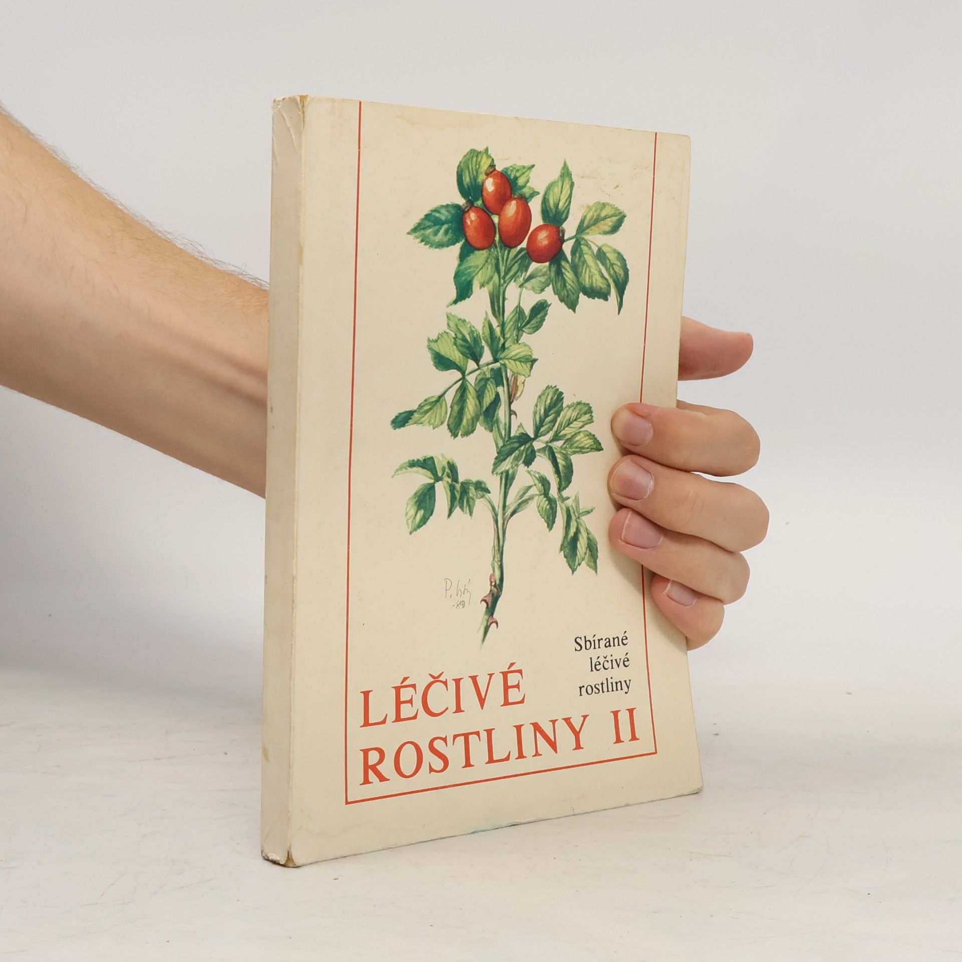 Léčivé rostliny II