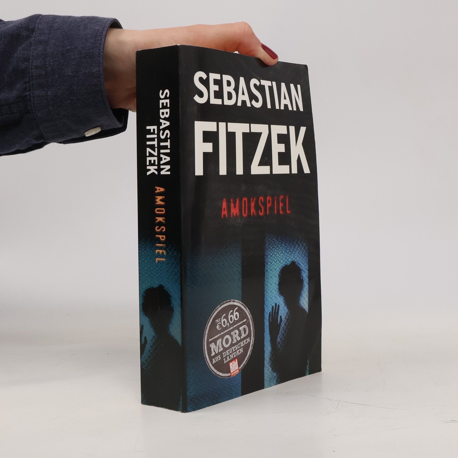 Sebastian Fitzek Amokspiel