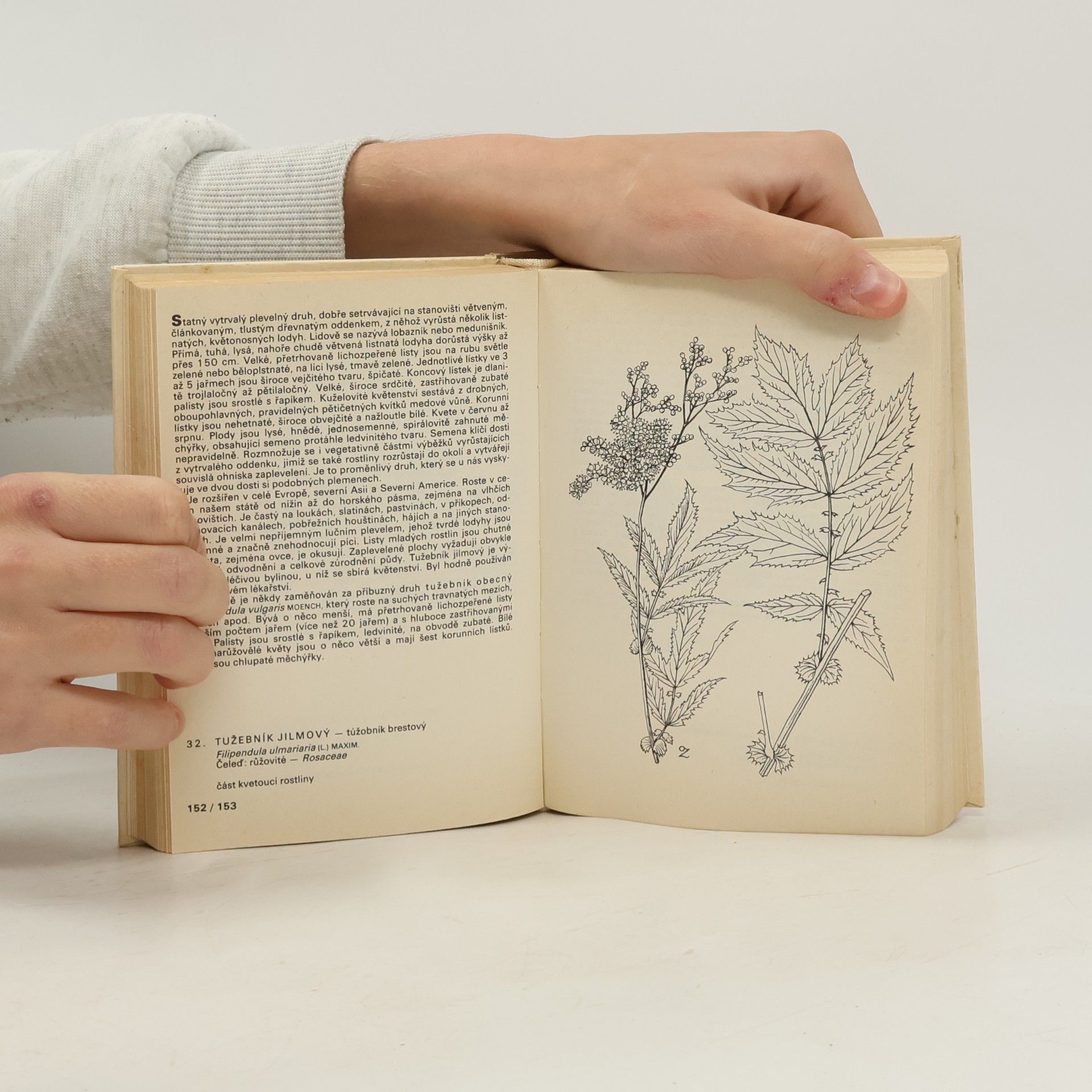 František Hron Kapesní atlas. Rostliny luk, pastvin, vod a bažin