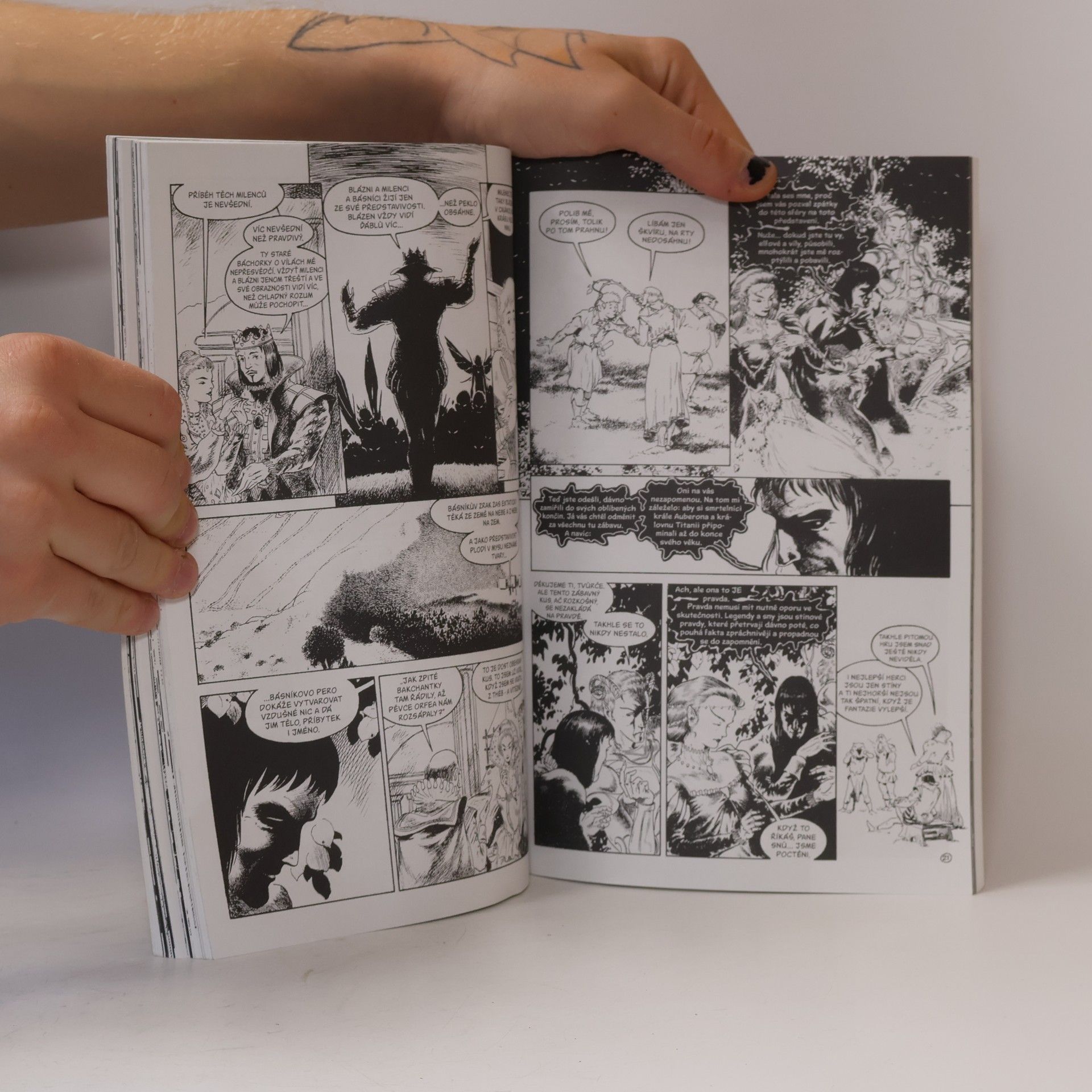 Neil Gaiman Sandman. Krajina snů