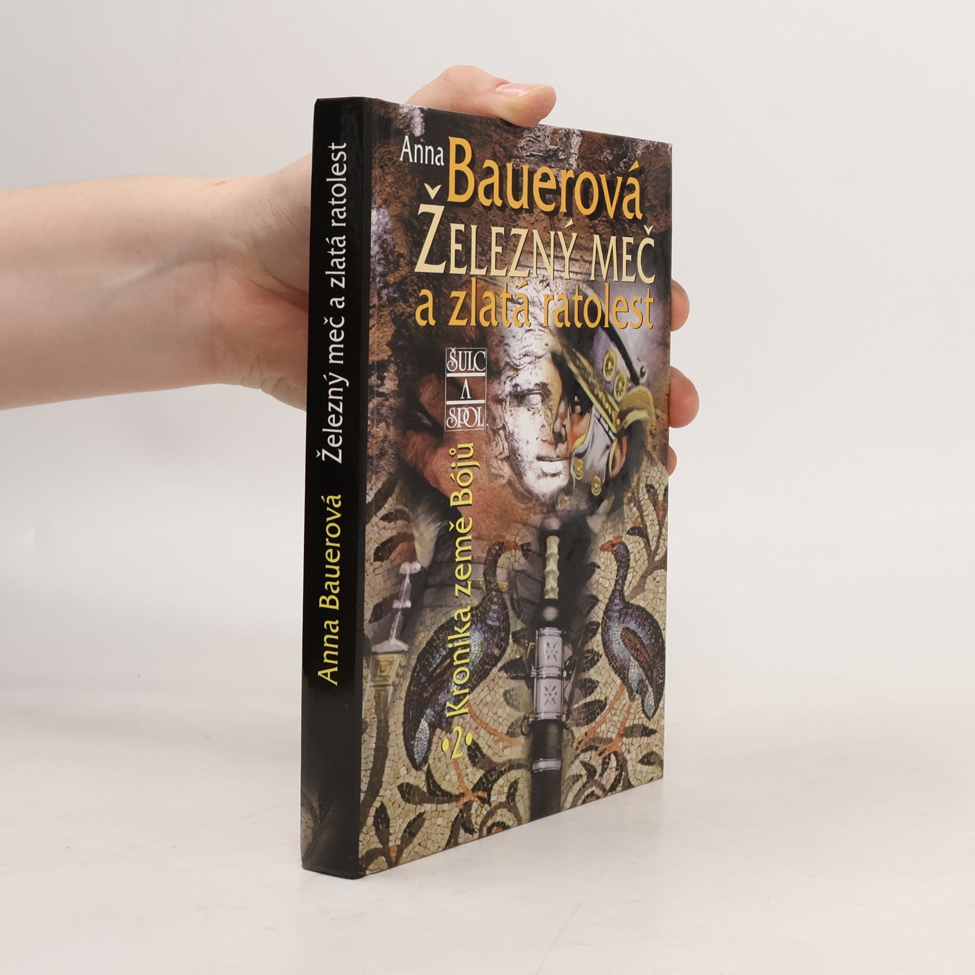Anna Bauerová Železný meč a zlatá ratolest: Kronika země Bójů, 2