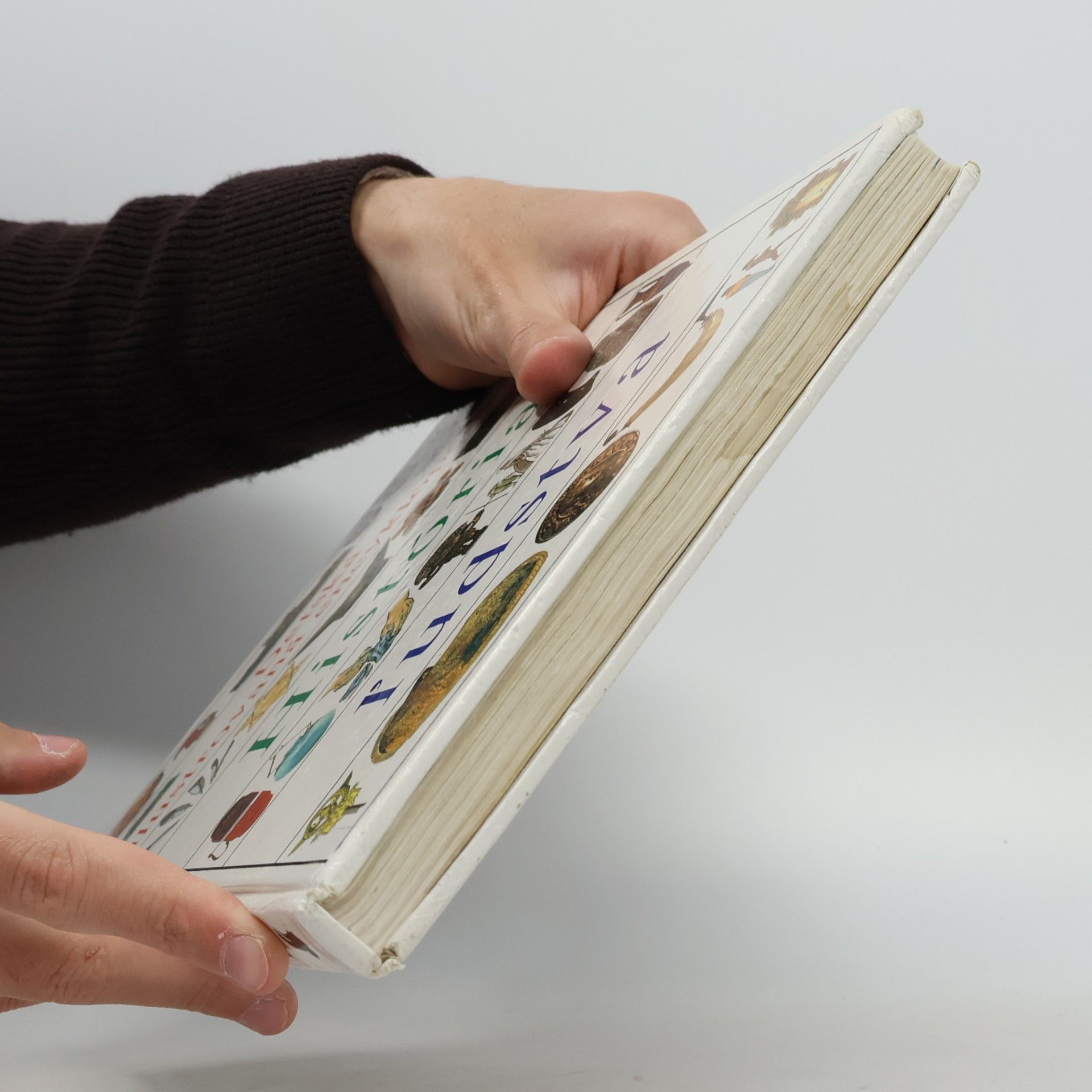Autorenkollektiv Detská ilustrovaná encyklopédia III. História ľudstva