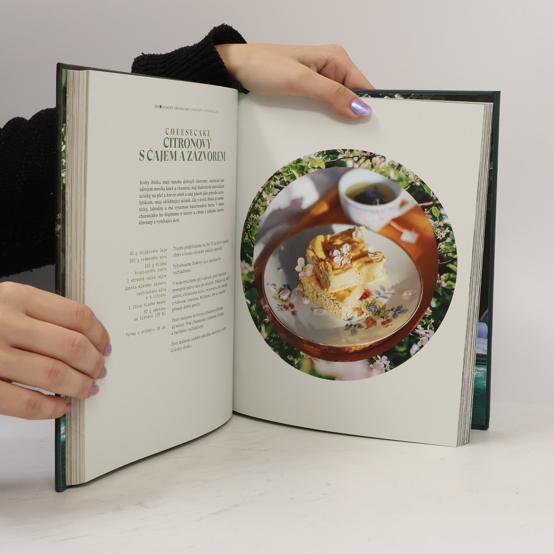 Isabel Pérez Cheesecake. Sladké i slané potěšení