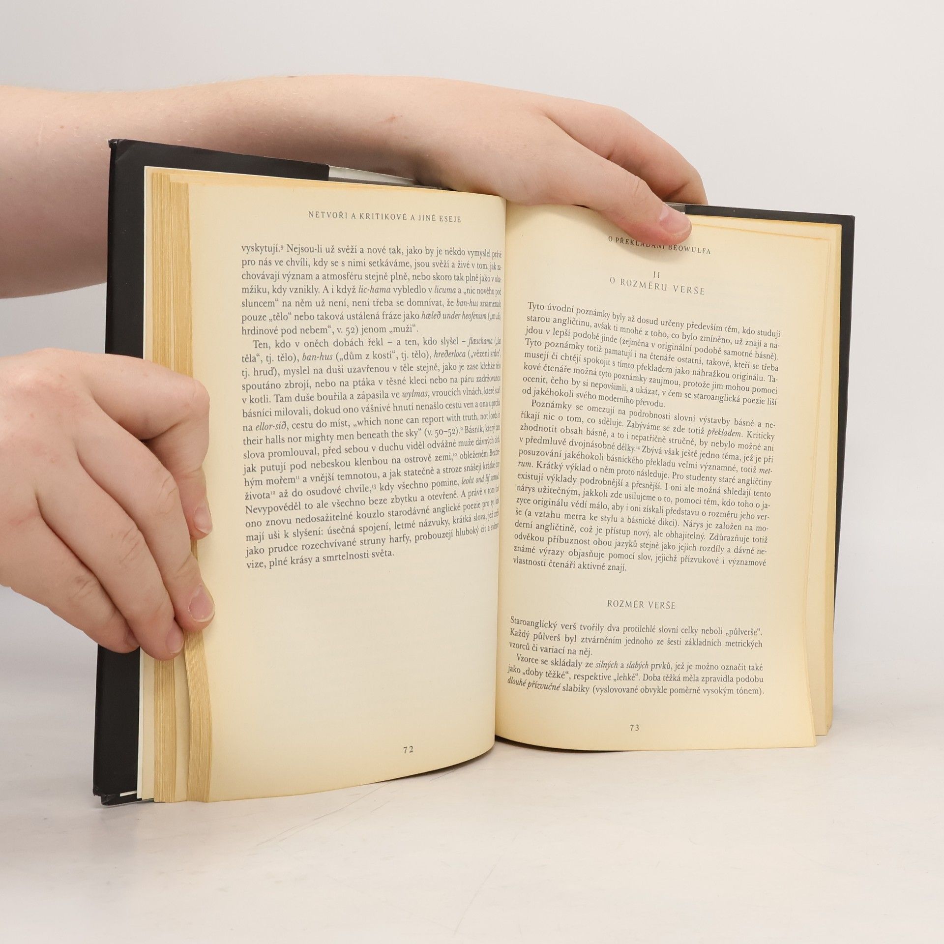 J. R. R. Tolkien Netvoři a kritikové a jiné eseje