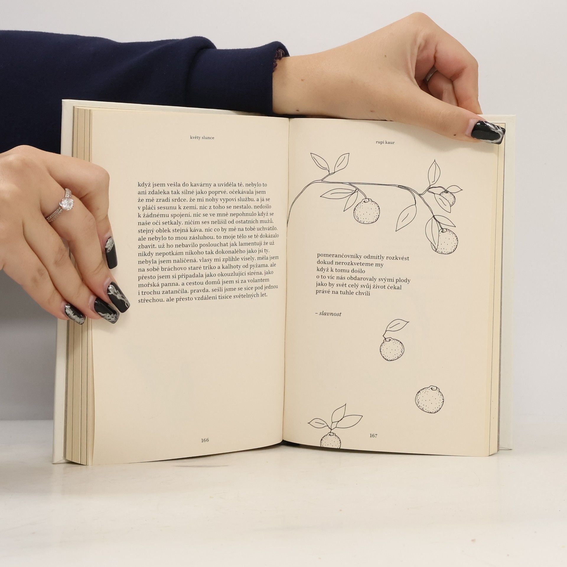 Rupi Kaur Květy slunce