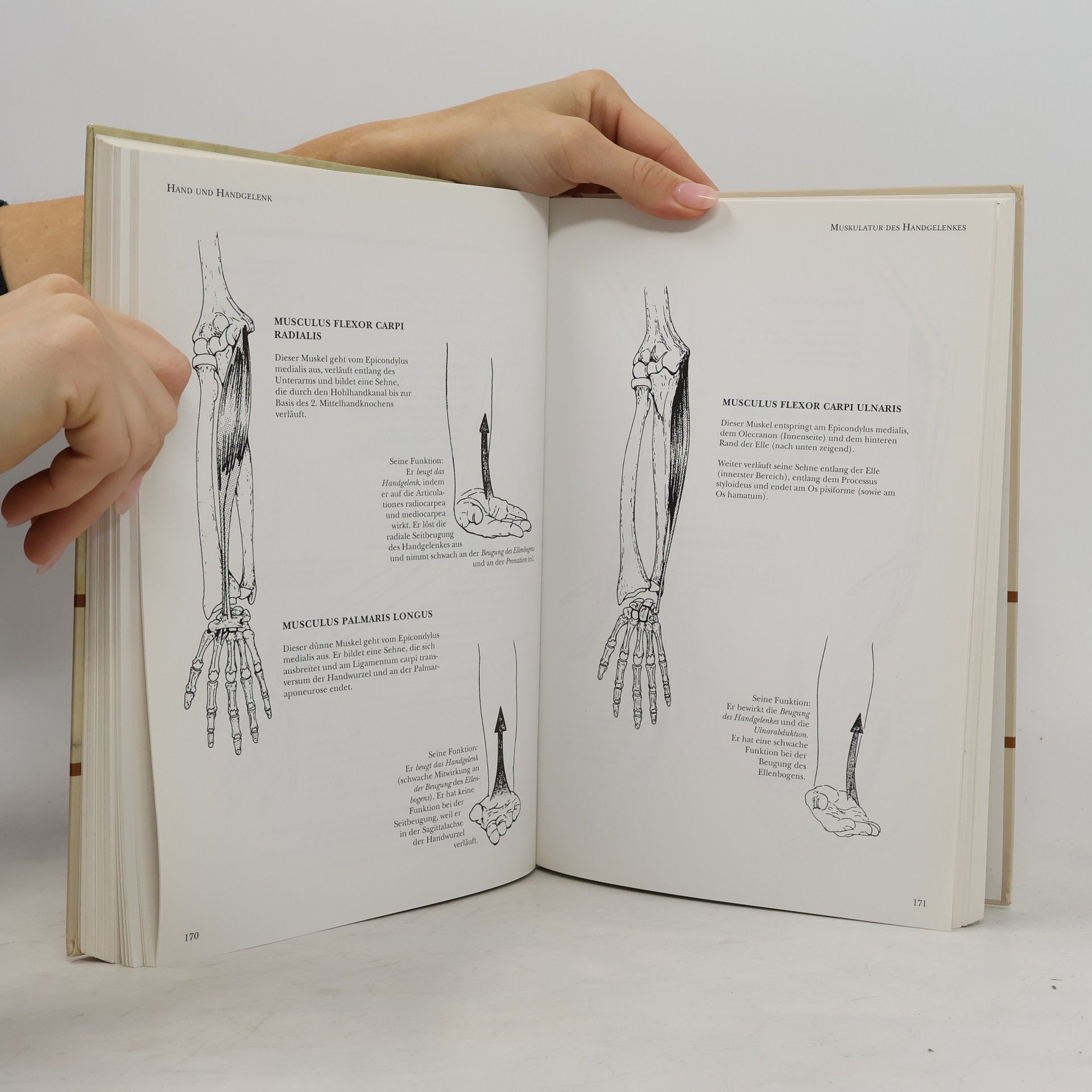 Blandine Calais-Germain Anatomie der Bewegung