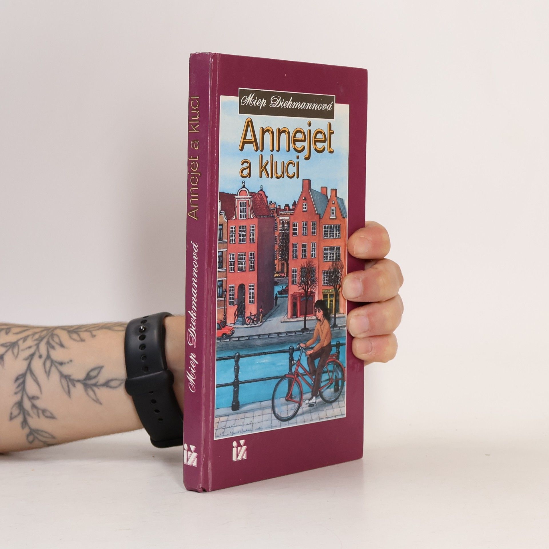 Annejet a kluci