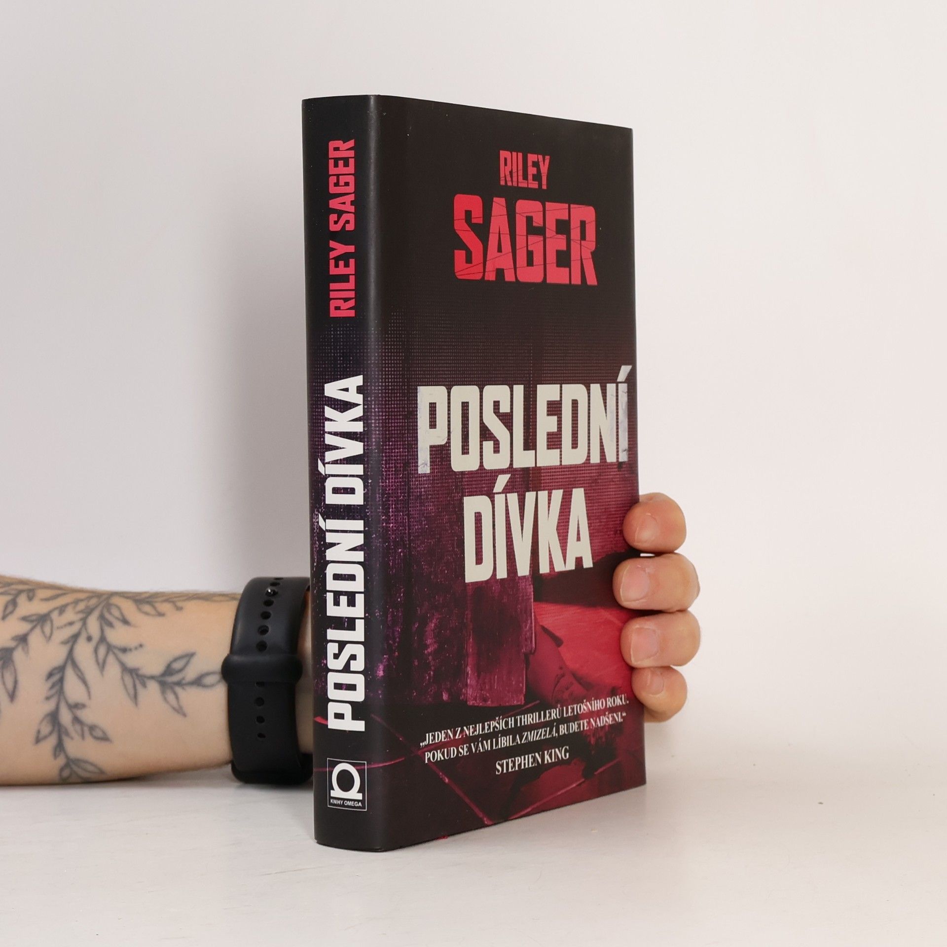 Todd Ritter Poslední dívka