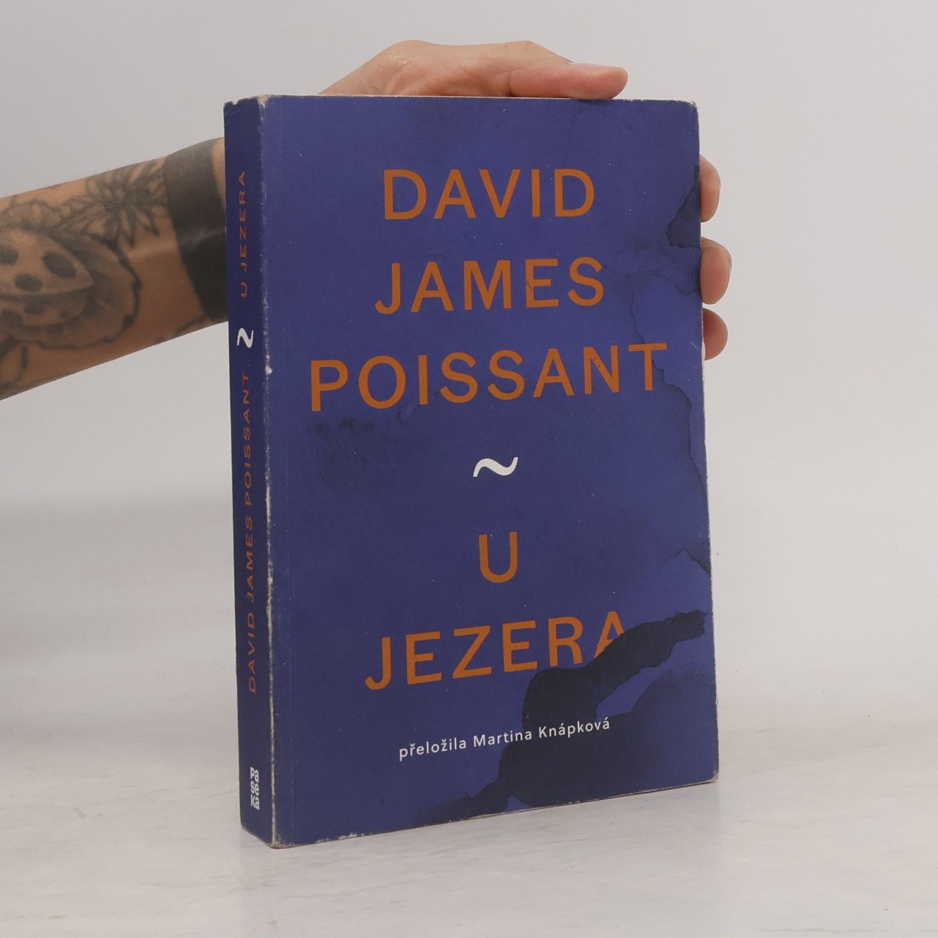 David James Poissant U jezera