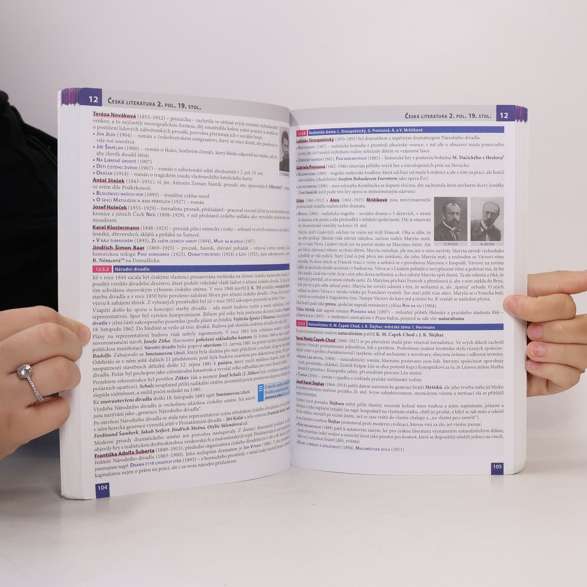 Taťána Polášková Literatura: Přehled středoškolského učiva