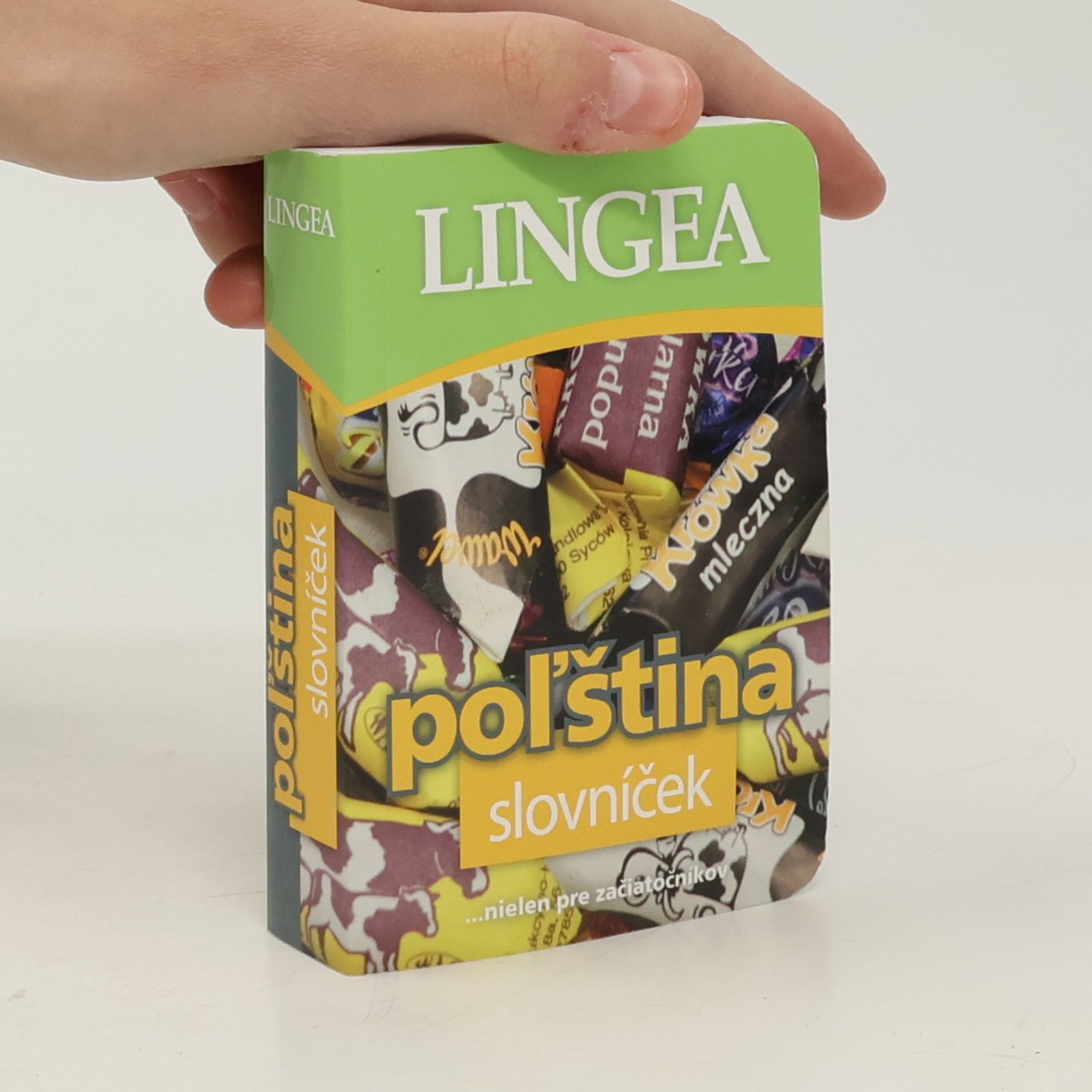 Kolektiv autorů Poľština slovníček