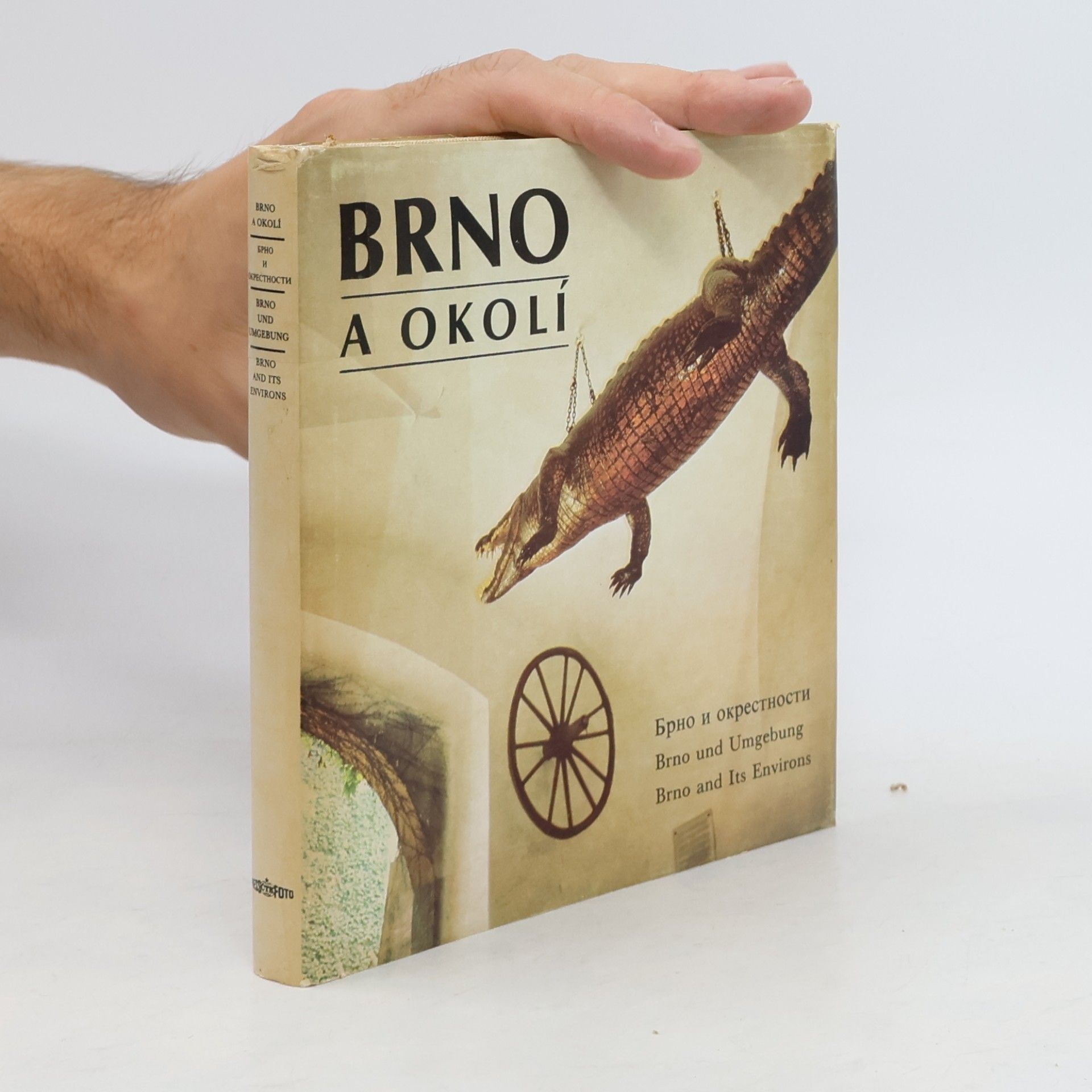 Dalibor Kusák Brno a okolí
